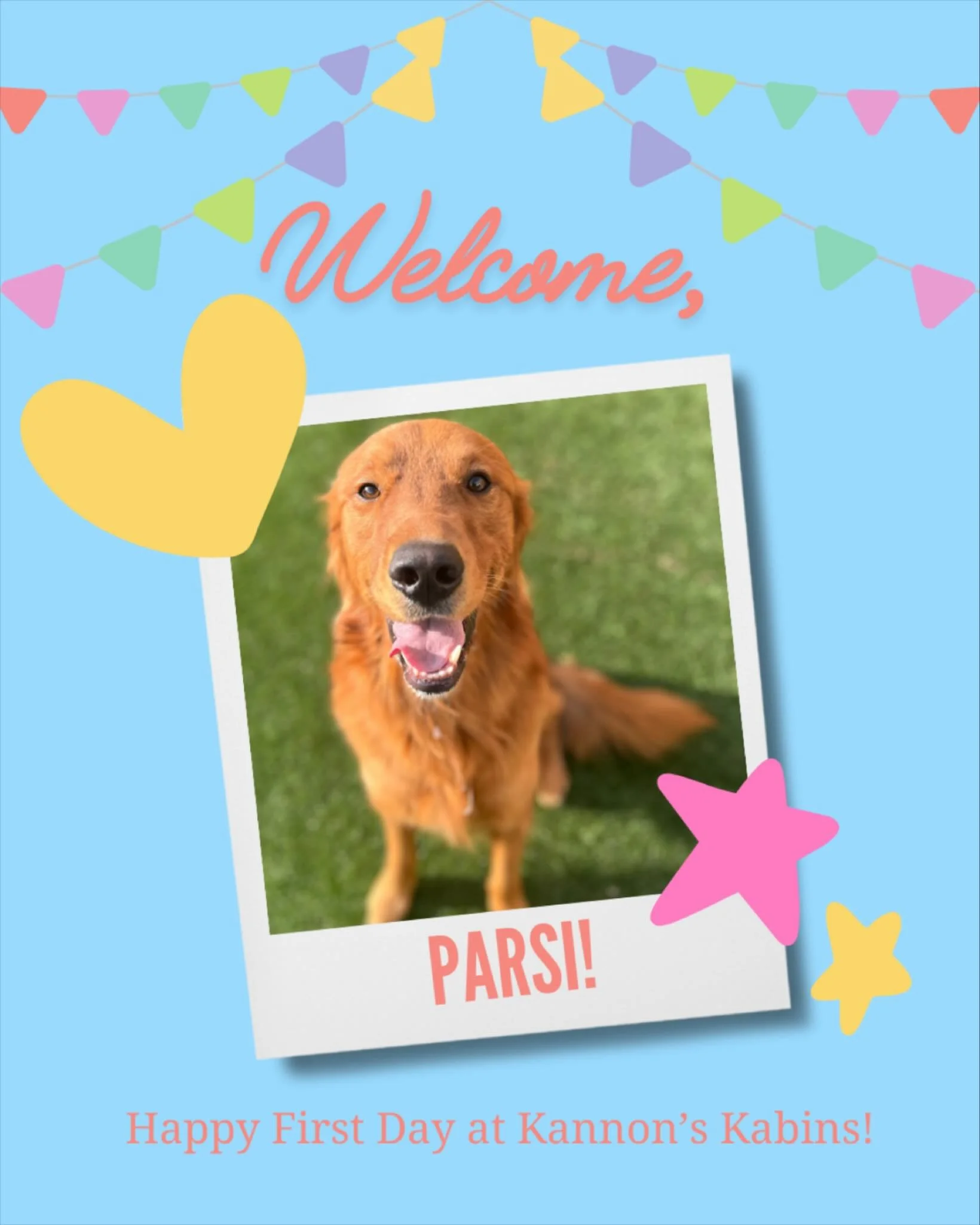 Happy First Day at Kannon&rsquo;s Kabins, Parsi!