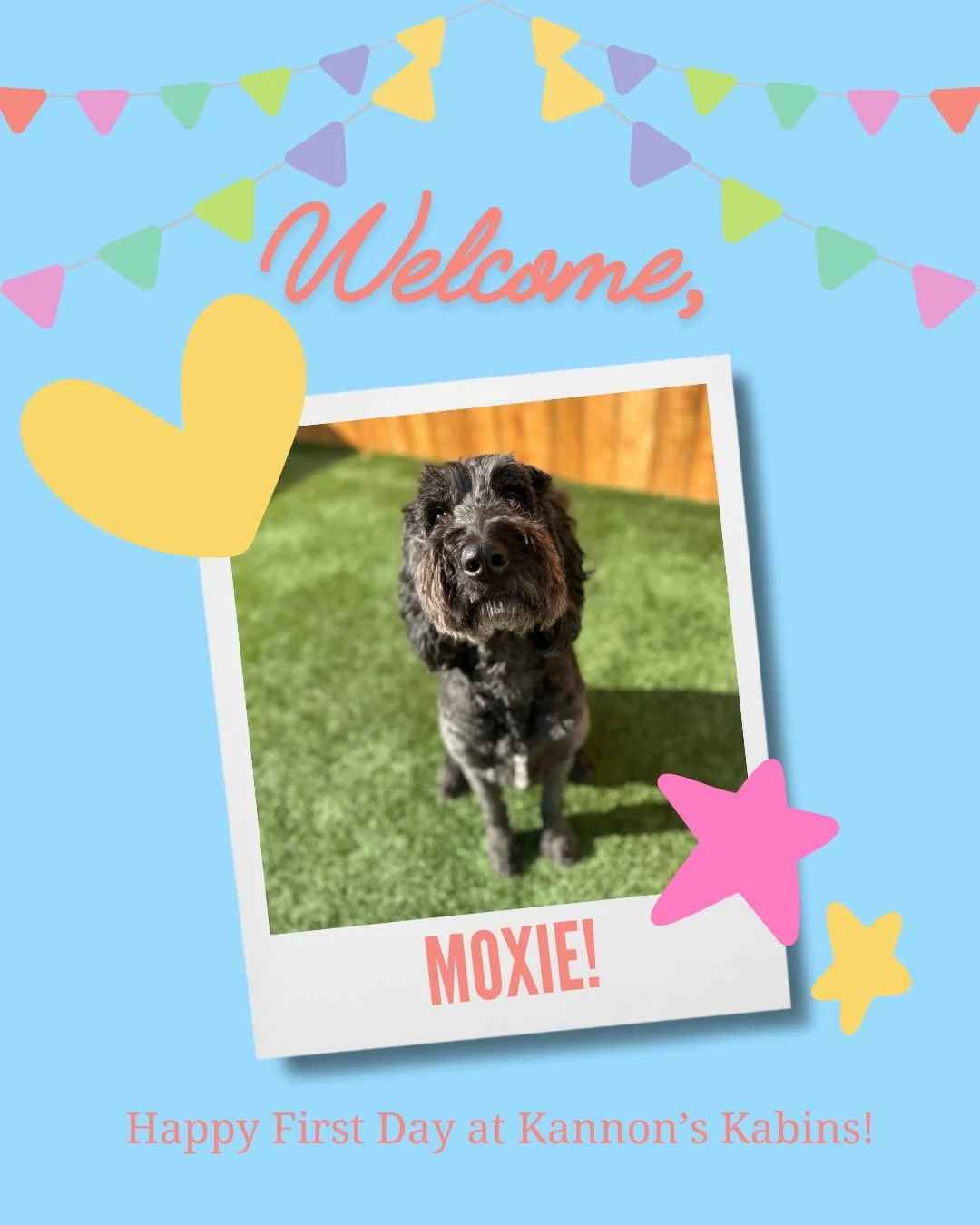 Happy First Day at Kannon&rsquo;s Kabins, Moxie and Elle!