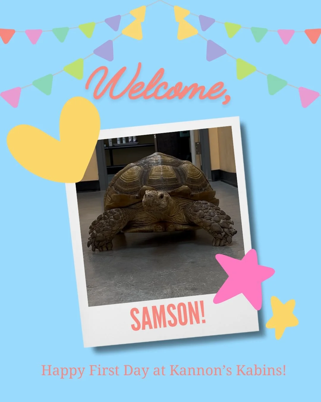 Happy First Day at Kannon&rsquo;s Kabins, Samson and Nova!