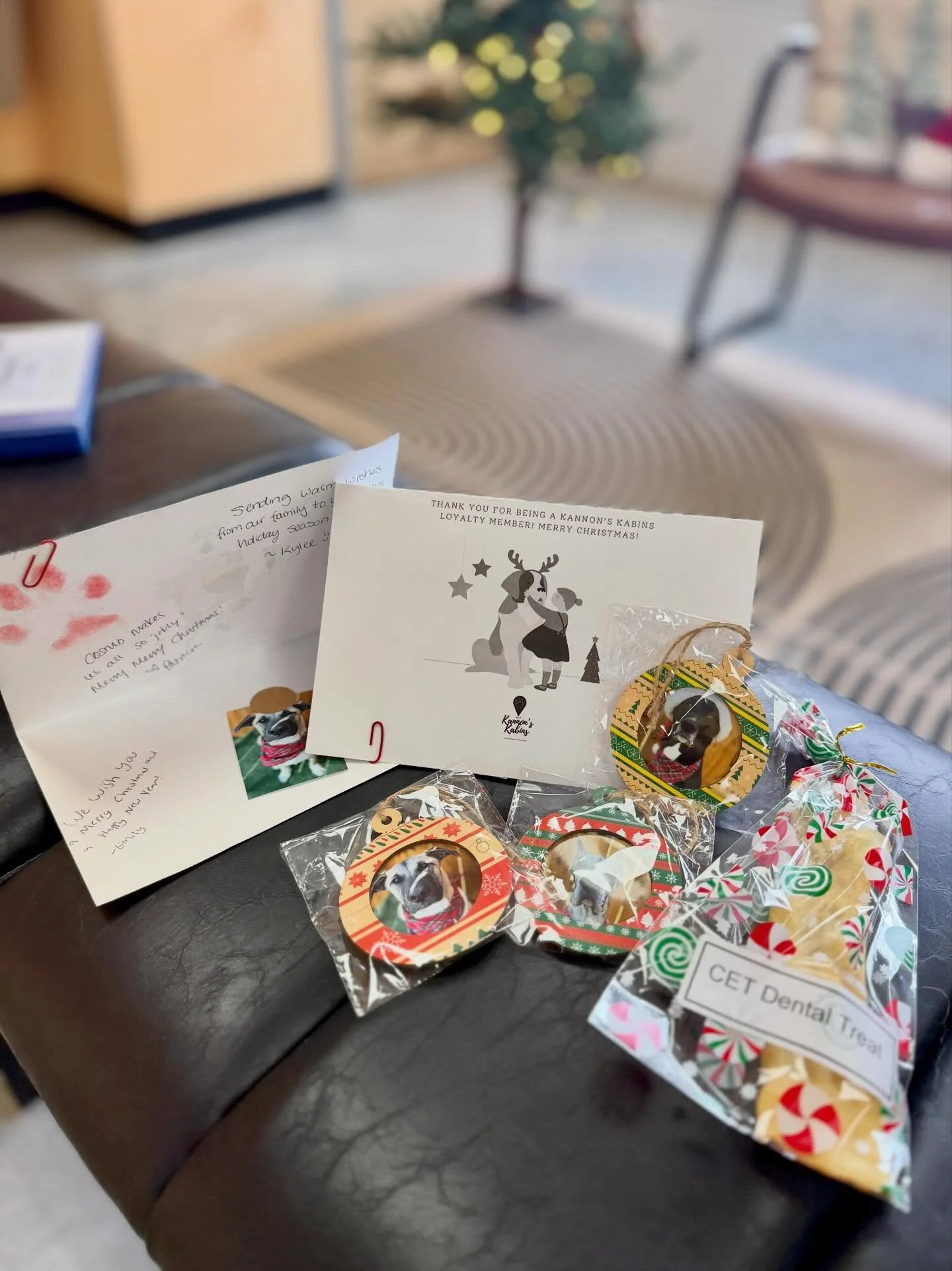 Did you know that being a package holder at Kannon&rsquo;s automatically makes you a loyalty client? As a loyalty client, you receive exclusive perks&mdash;like this one! 🤩

Emily, our enrichment specialist, and I teamed up to create something extra