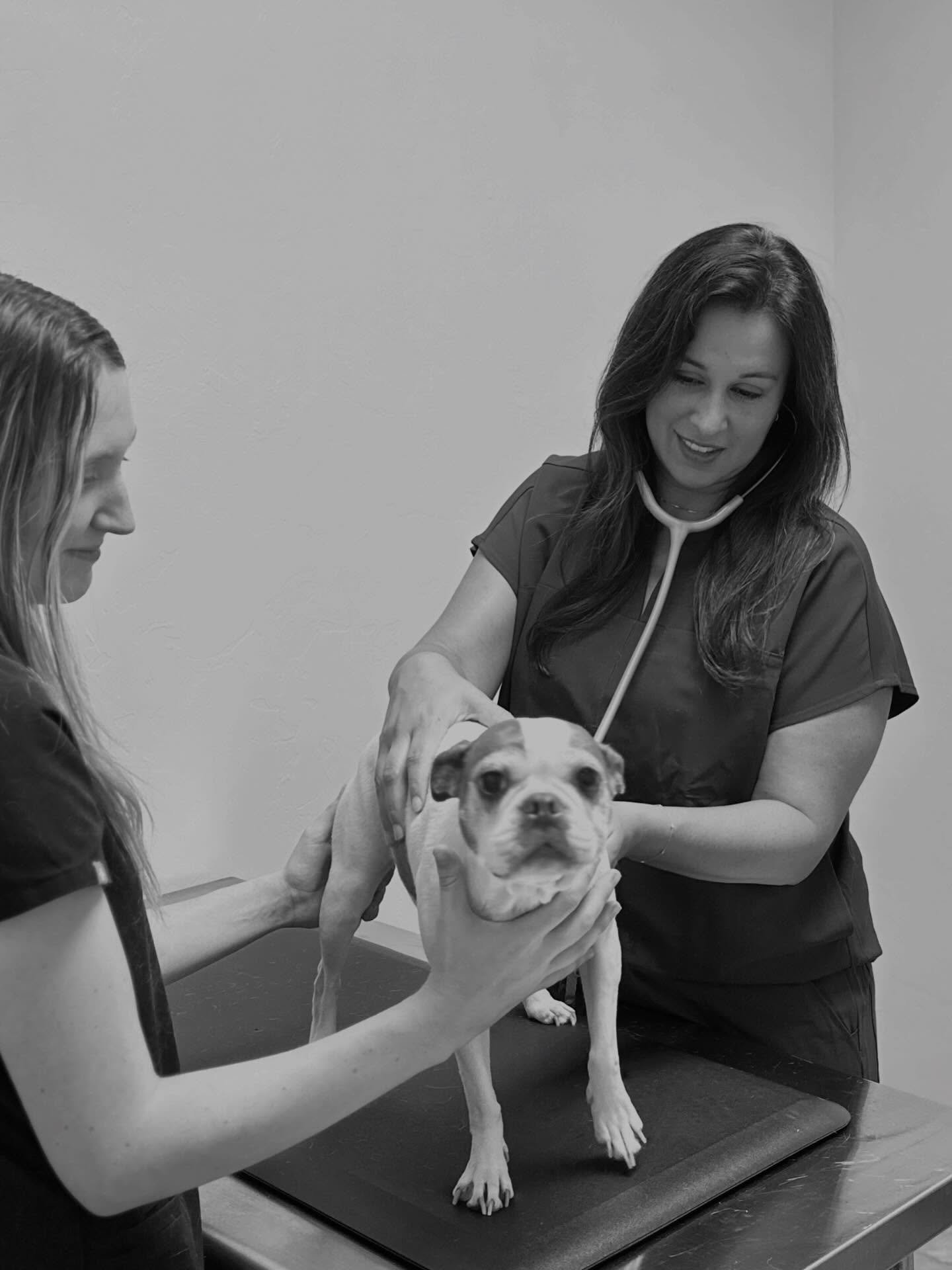 Holiday plans came up fast? No worries. With a vet on staff, we can welcome last-minute boarding guests and update expired vaccines during boarding, all in one convenient place. 🎄🩺