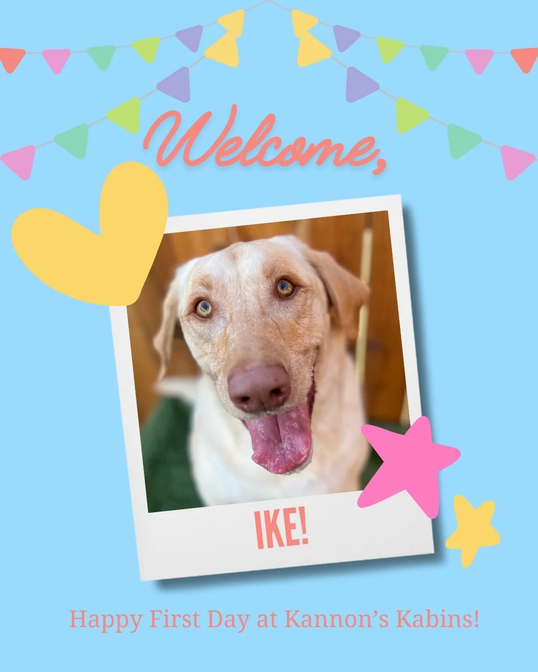 Happy First Day at Kannon&rsquo;s Kabins, Ike &amp; Scooter!