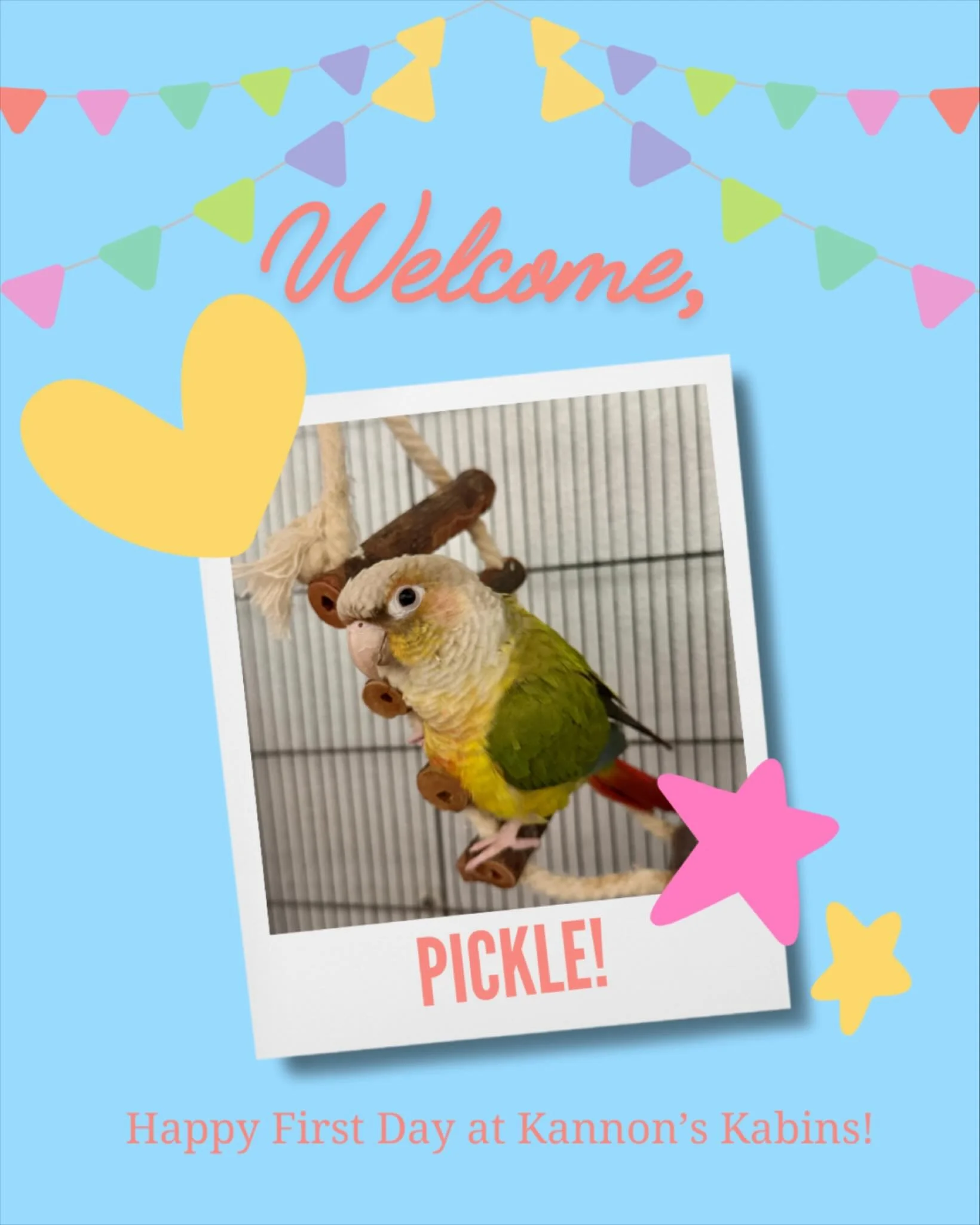 Happy First Day at Kannon&rsquo;s Kabins, Pickle!