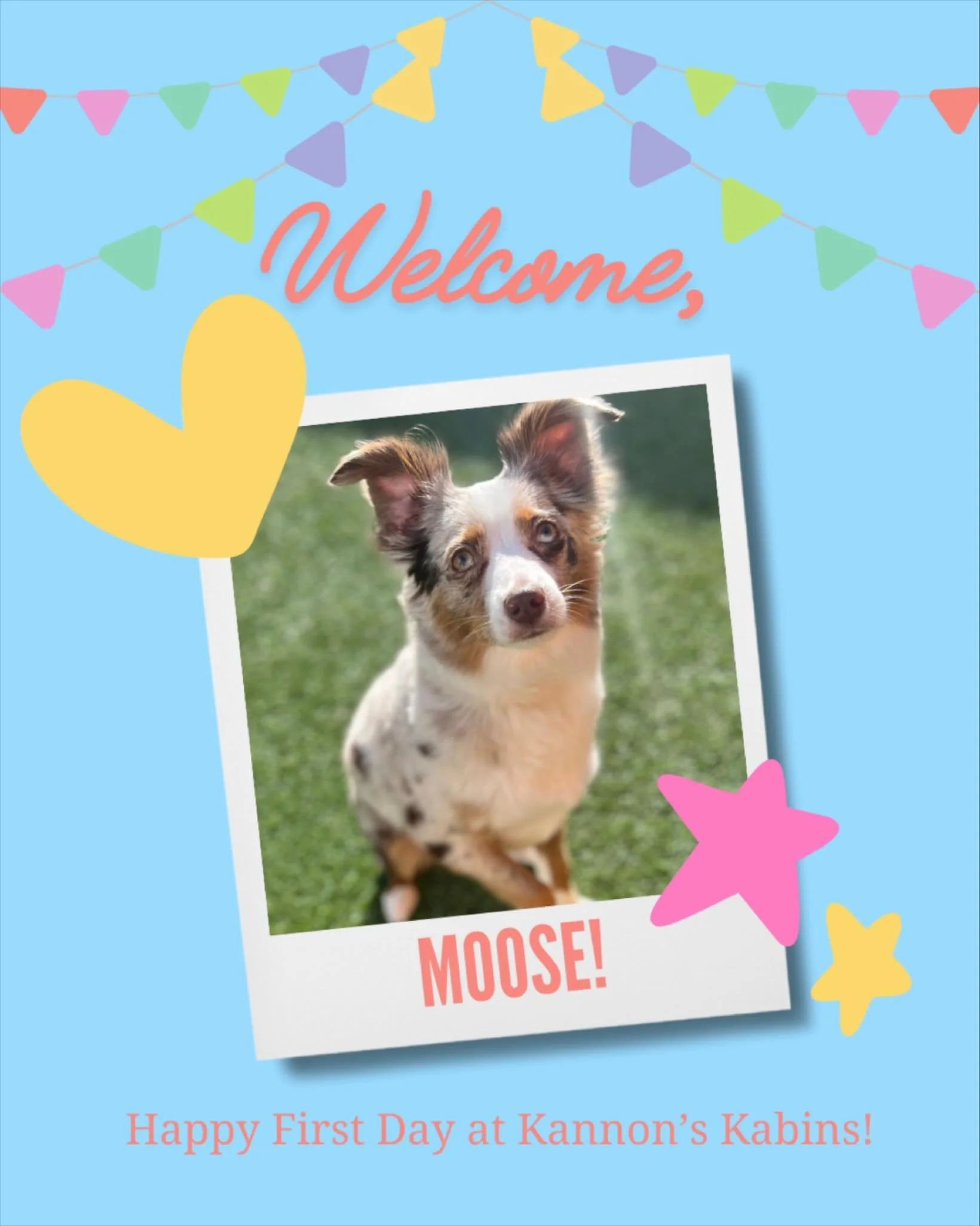 Happy First Day at Kannon&rsquo;s Kabins, Moose!