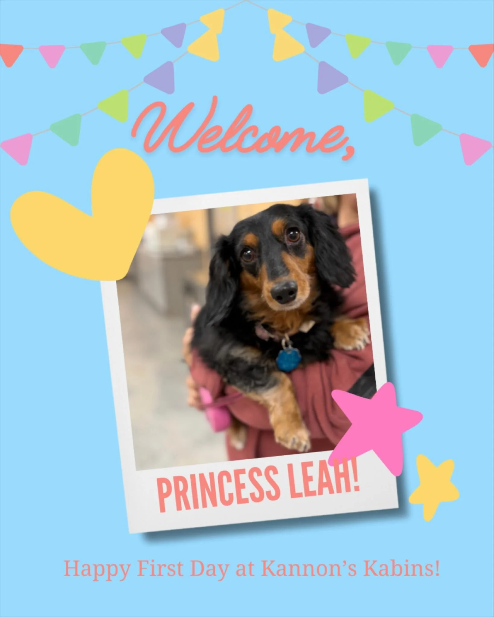 Happy First Day at Kannon&rsquo;s Kabins, Princess Leah!