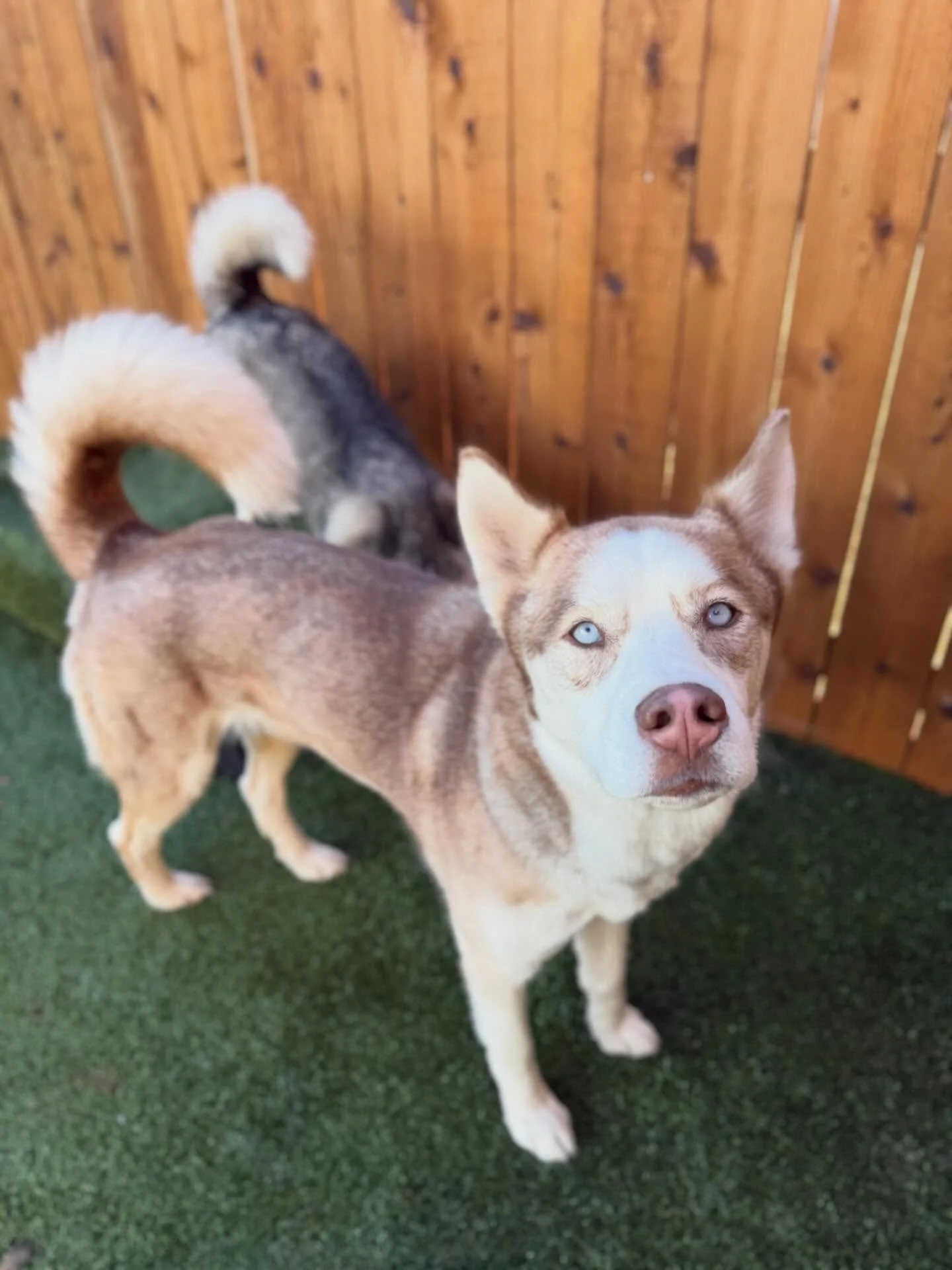 Even though this weather has us second guessing if it&rsquo;s really Christmas, we are having lots of fun here at Kannon&rsquo;s today! We hope everyone has a Merry Christmas! 🎄🎁