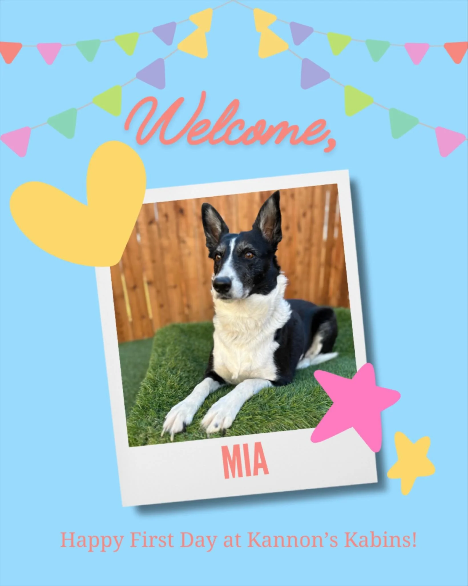 Happy First Day at Kannon&rsquo;s Kabins, Mia!