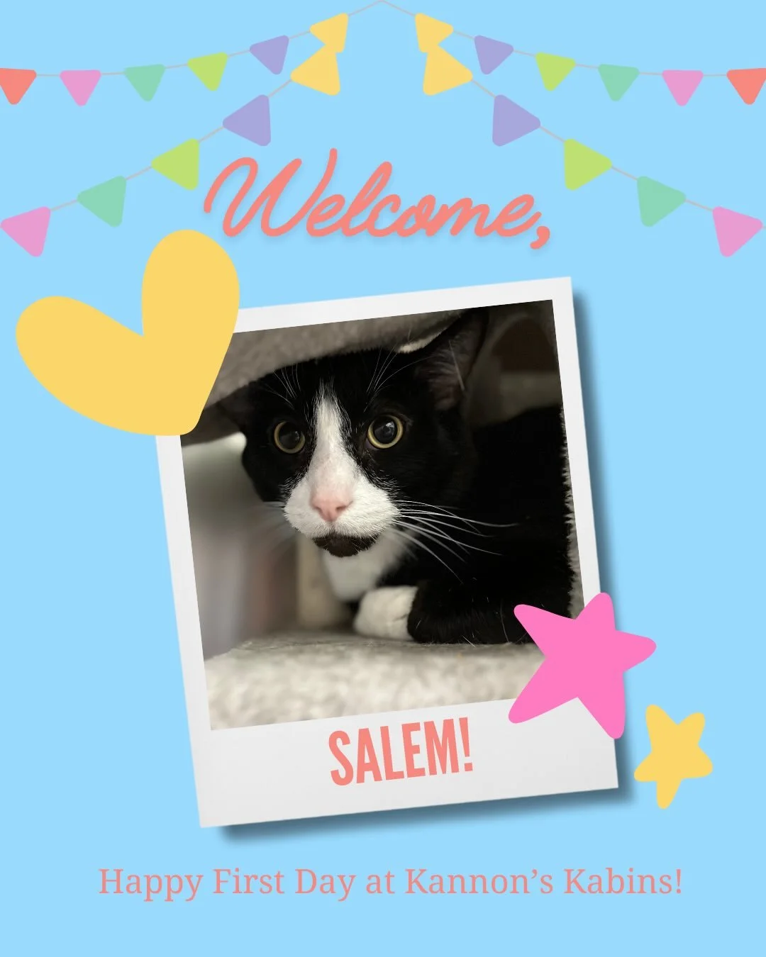 Happy First Day at Kannon&rsquo;s Kabins, Salem, Zero, and MoMo!