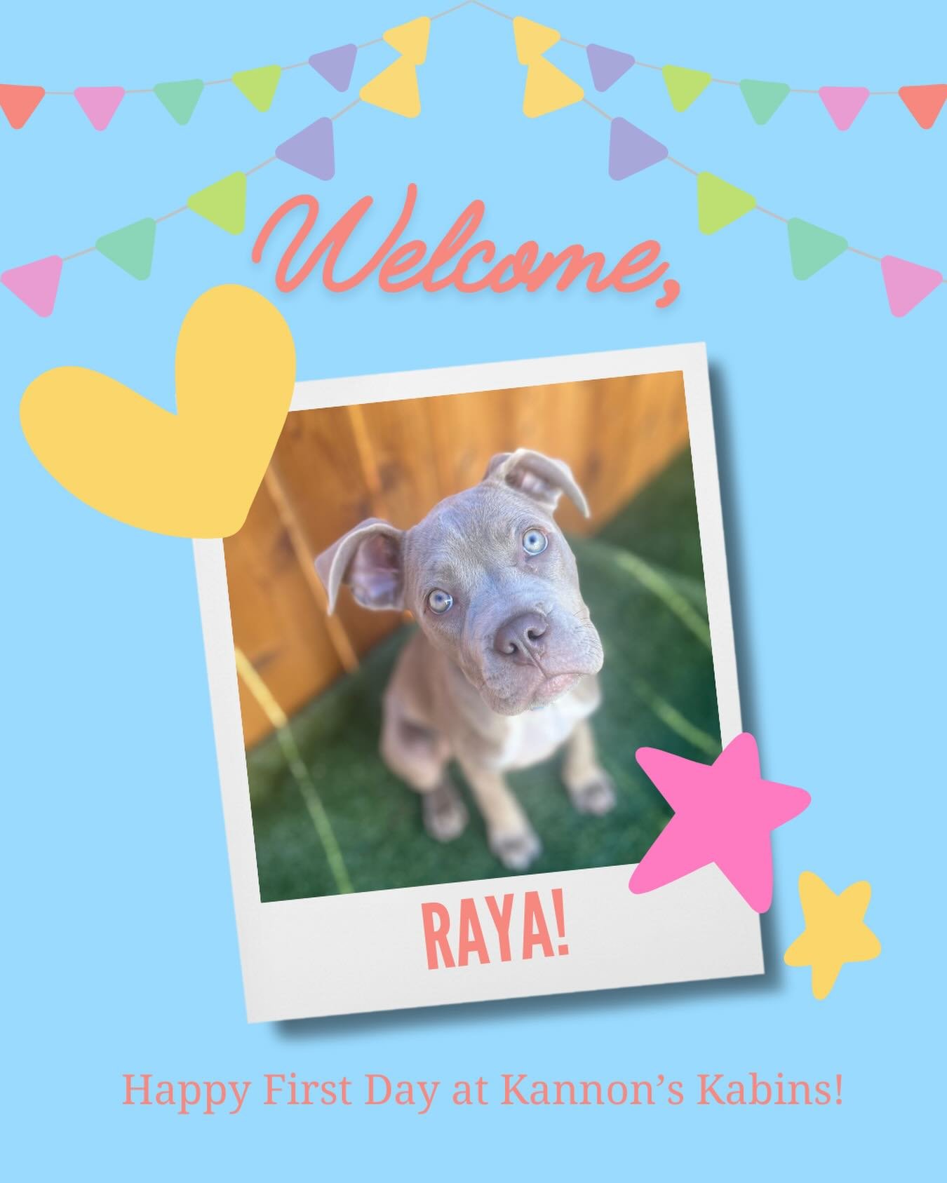 Happy First Day at Kannon&rsquo;s Kabins, Raya!