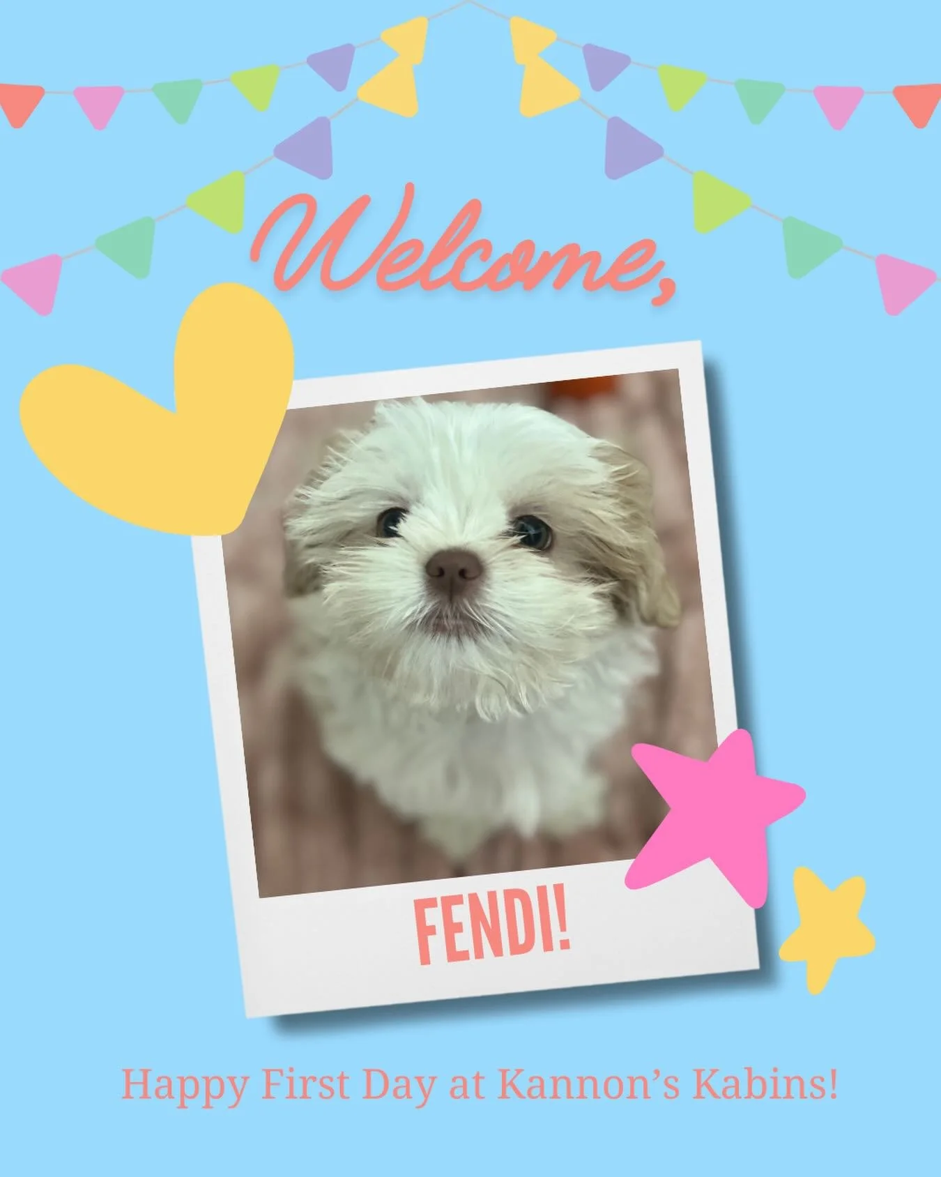 Happy First Day at Kannon&rsquo;s Kabins, Fendi!