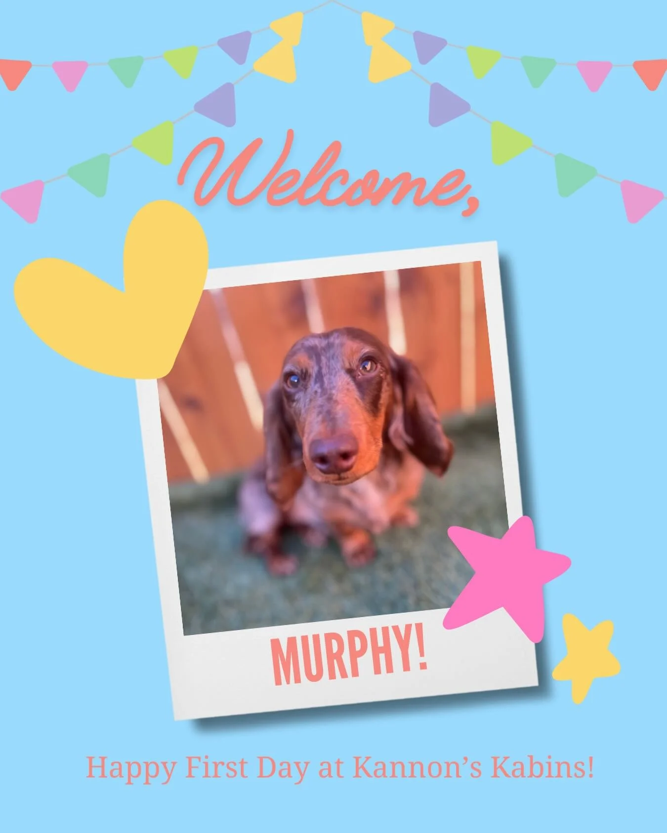 Happy First Day at Kannon&rsquo;s Kabins, Murphy!