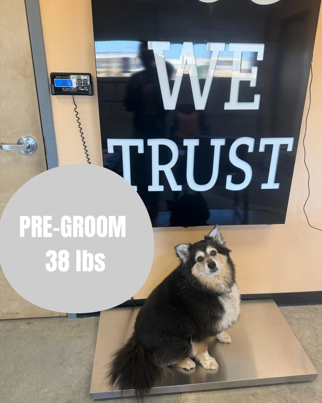 Kannon would like an apology from everyone who has personally victimized her for her &ldquo;weight gain&rdquo; while she sported her winter coat this year&hellip; 

🤣💛✂️