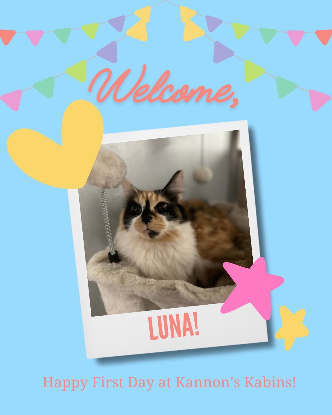 Happy First Day at Kannon&rsquo;s Kabins, Luna, Blade, and Grace!