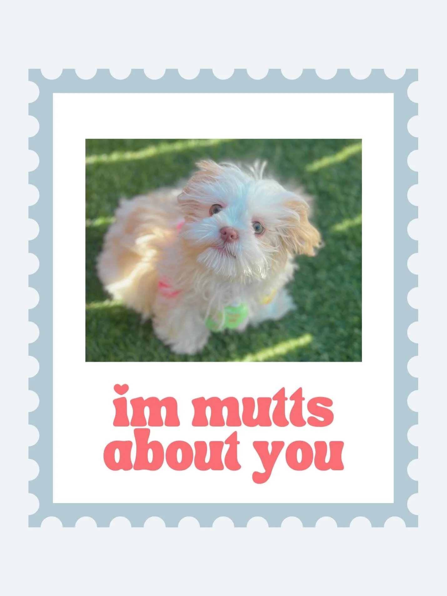 Happy Valentine&rsquo;s Day from some of our daycare package holders!!! 💌