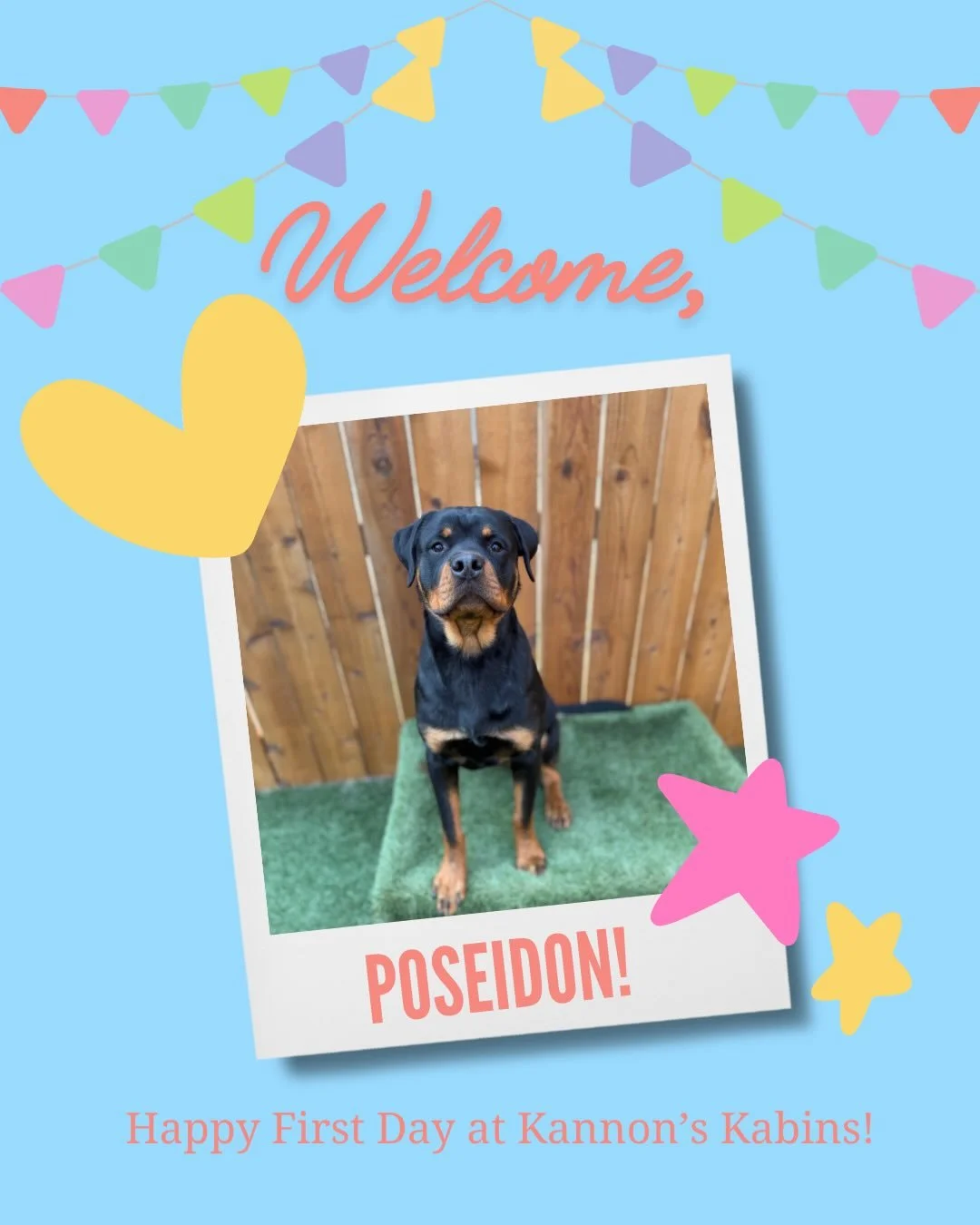 Happy First Day at Kannon&rsquo;s Kabins, Poseidon and Ranger!