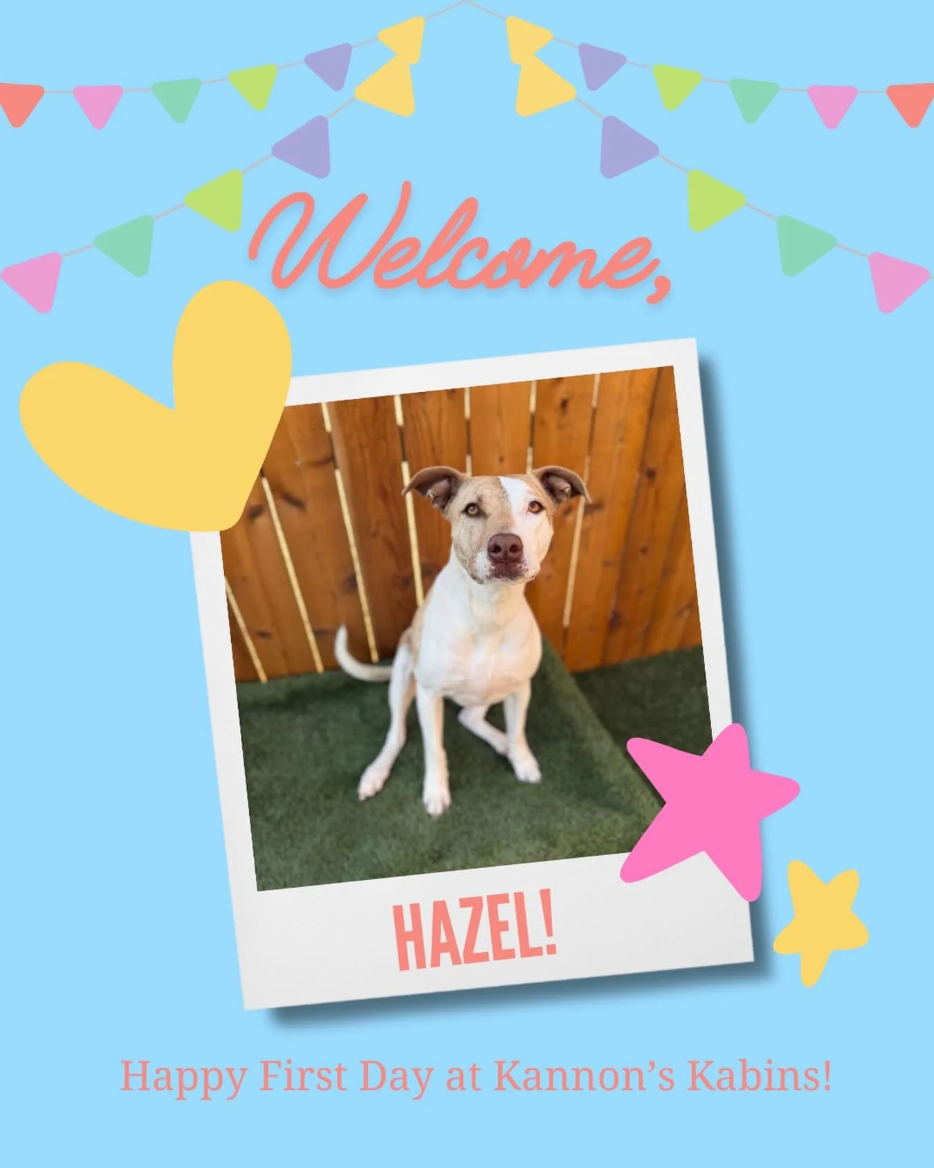 Happy first day at Kannon&rsquo;s Kabins, Hazel!