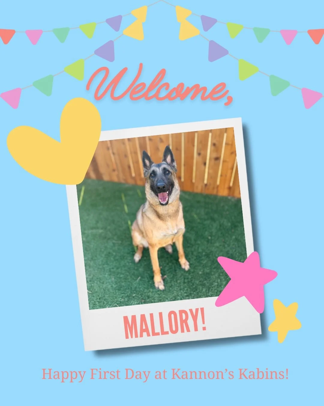 Happy first day at Kannon&rsquo;s Kabins, Mallory and Gizmo!