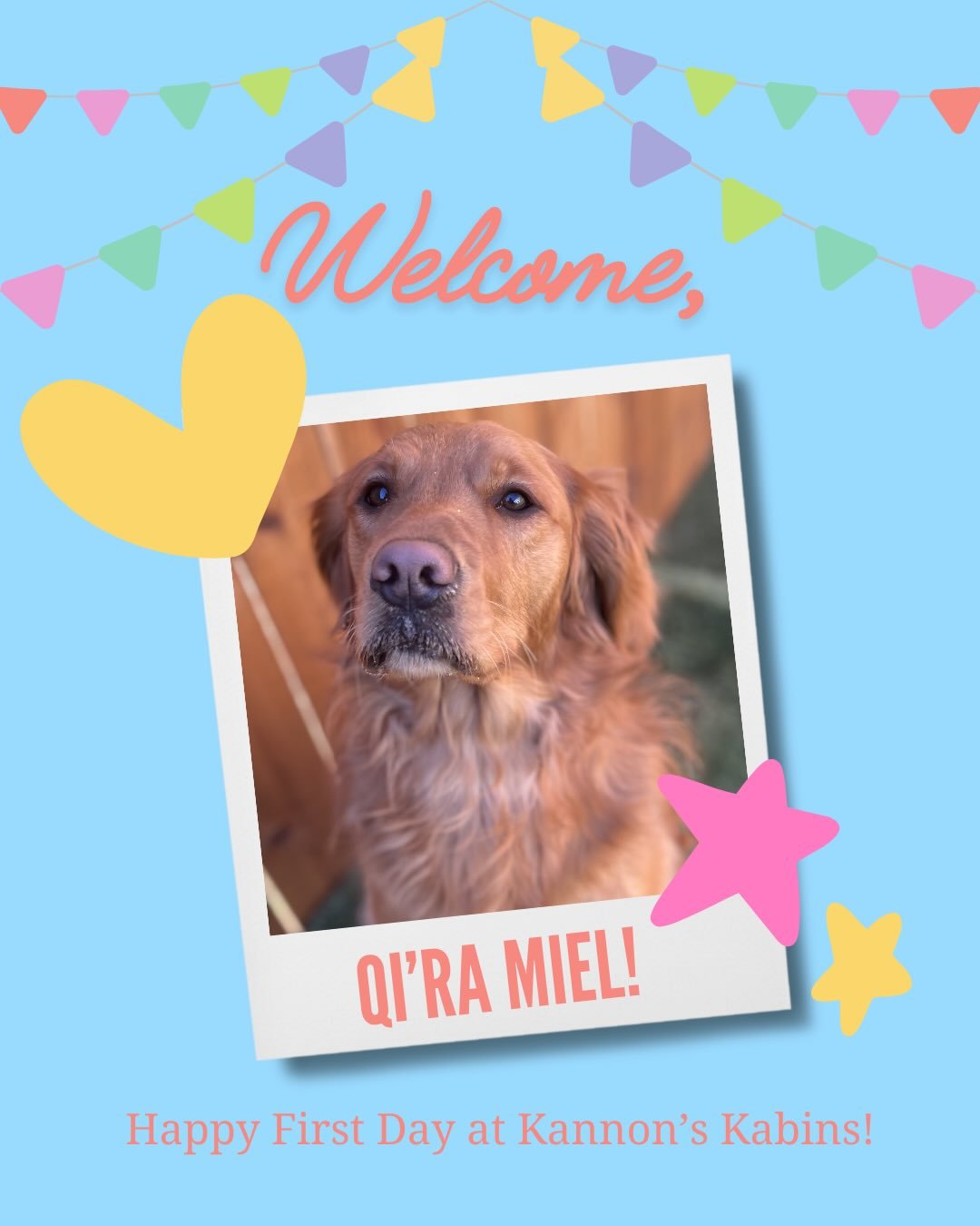 Happy First Day at Kannon&rsquo;s Kabins, Qi&rsquo;ra Miel, General Grievous, Rosie, Mitzie Mae, Starlight and Wendy Channel!