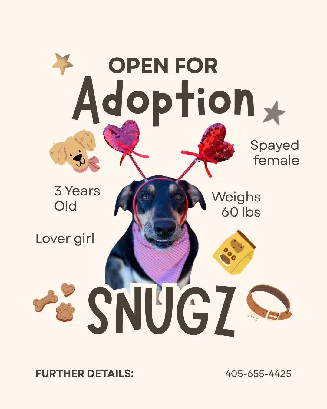 ✨ Our adoptables ✨ 

All our potty trained, crate trained, UTD on vaccines &amp; prevention, &amp; respond to basic obedience cues! Reach out if you&rsquo;re interested in adopting, fostering, or taking any of these babies for a dog&rsquo;s day out! 