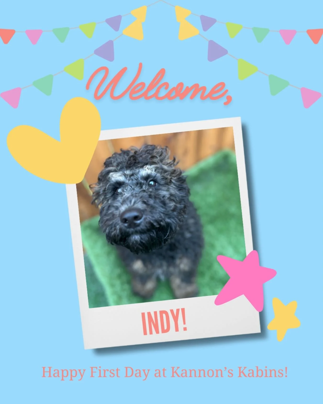 Happy first day at Kannon&rsquo;s Kabins, Indy!