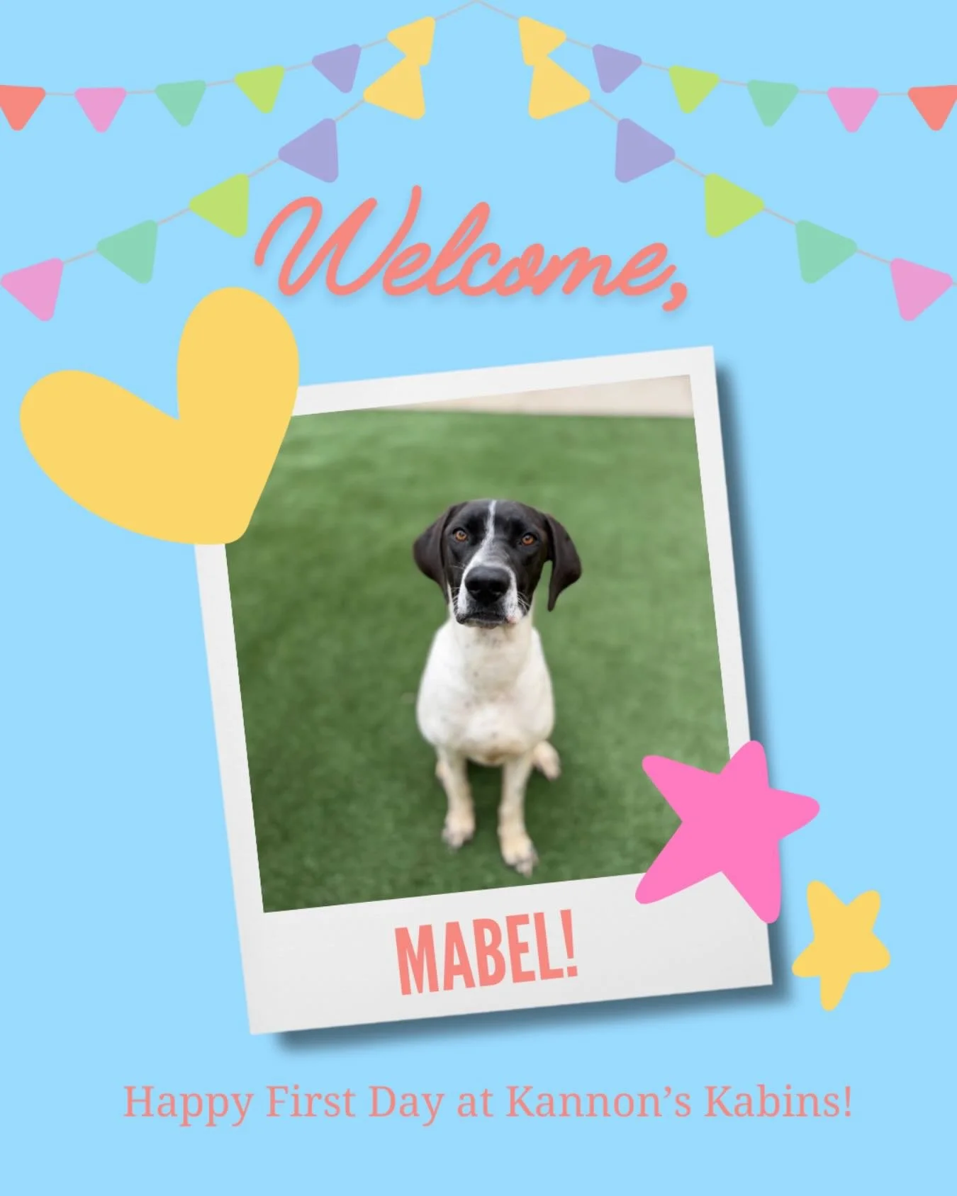 Happy First Day at Kannon&rsquo;s Kabins, Mabel!