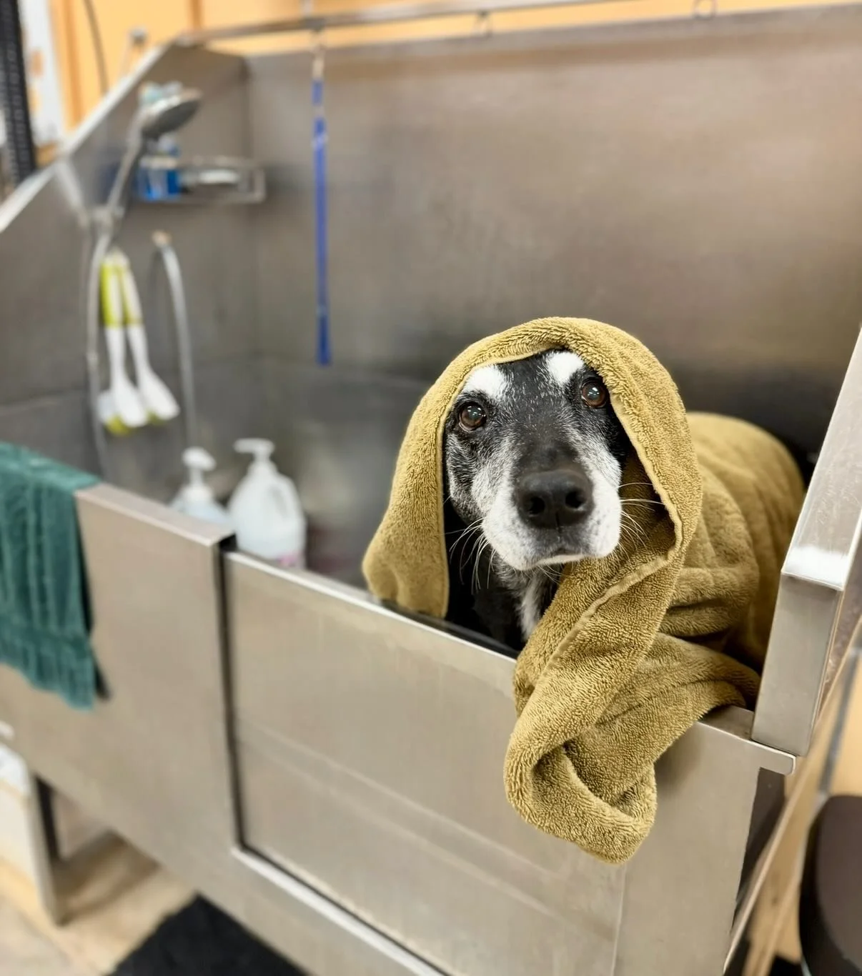 This week we&rsquo;re discounting additional services 15%

Thanks for celebrating 5 Years with us! ❤️