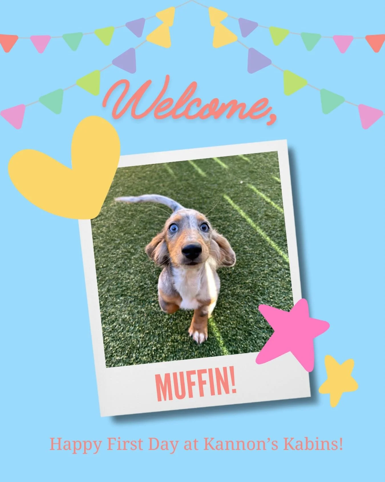 Happy first day at Kannon&rsquo;s Kabins, Muffin!