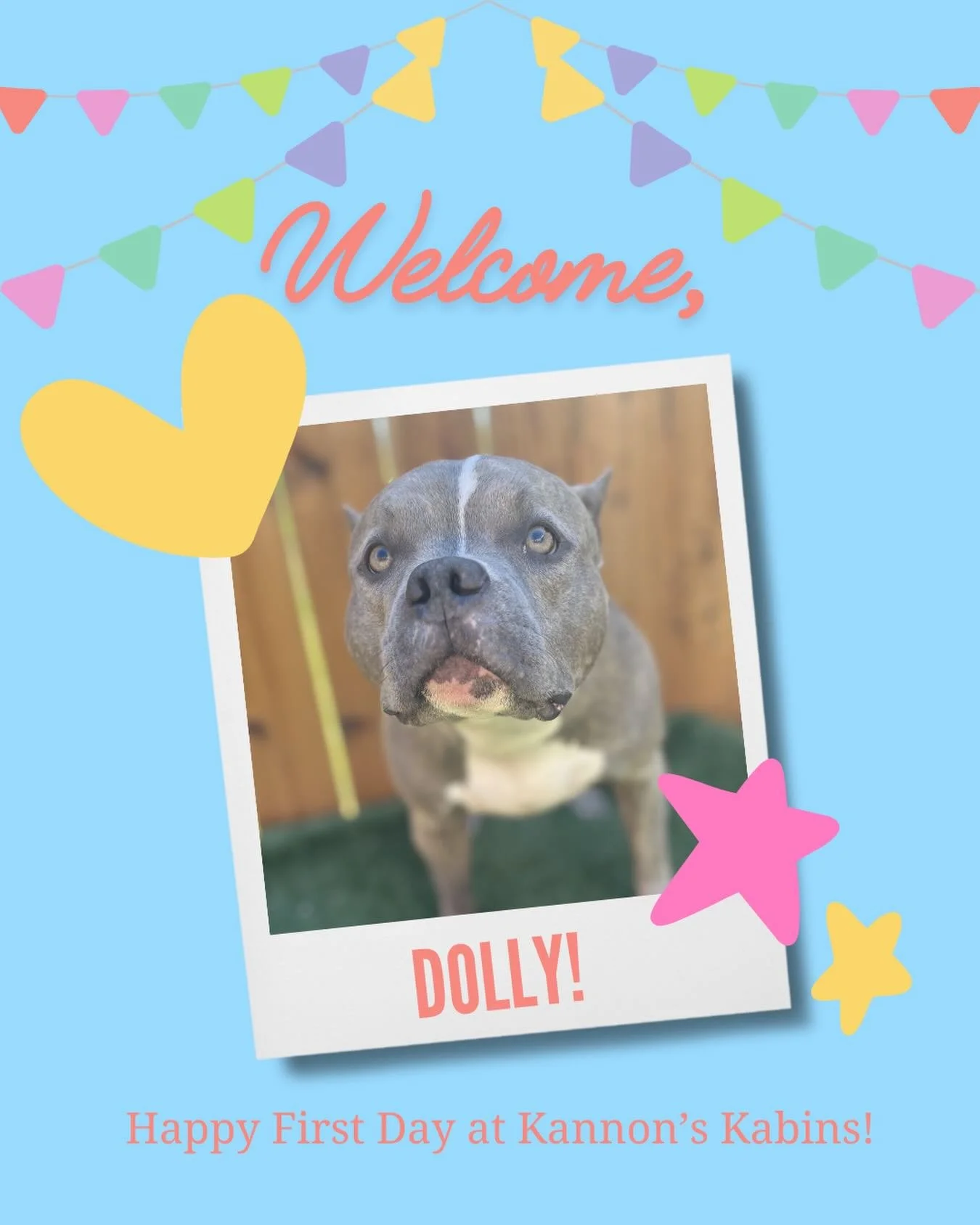 Happy First Day at Kannon&rsquo;s Kabins, Dolly!