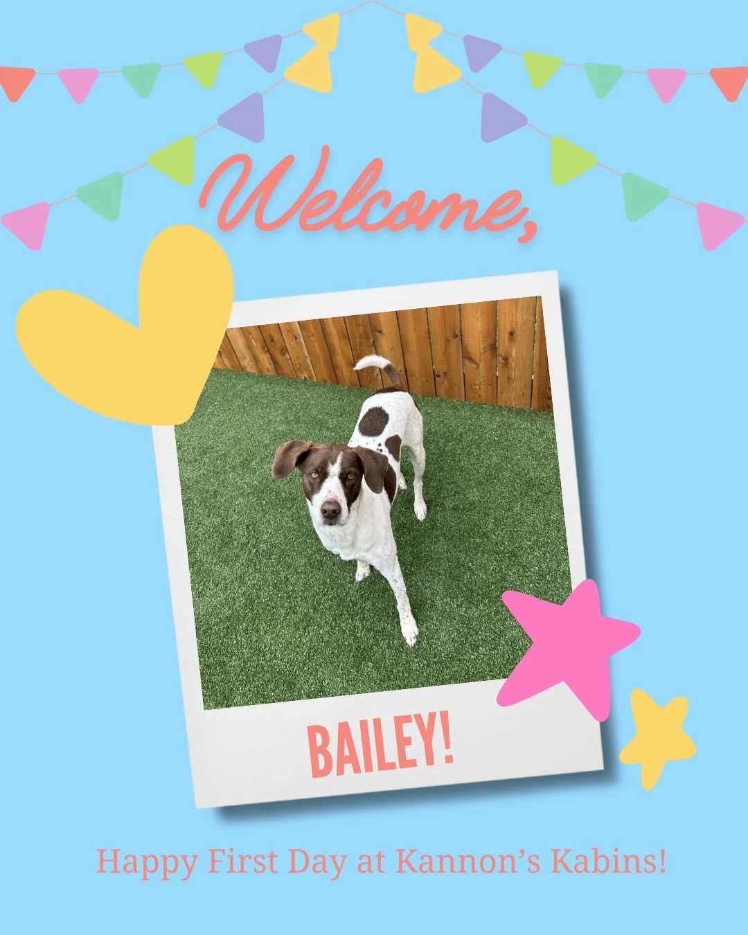 Happy first day at Kannon&rsquo;s Kabins, Bailey and Trappy!