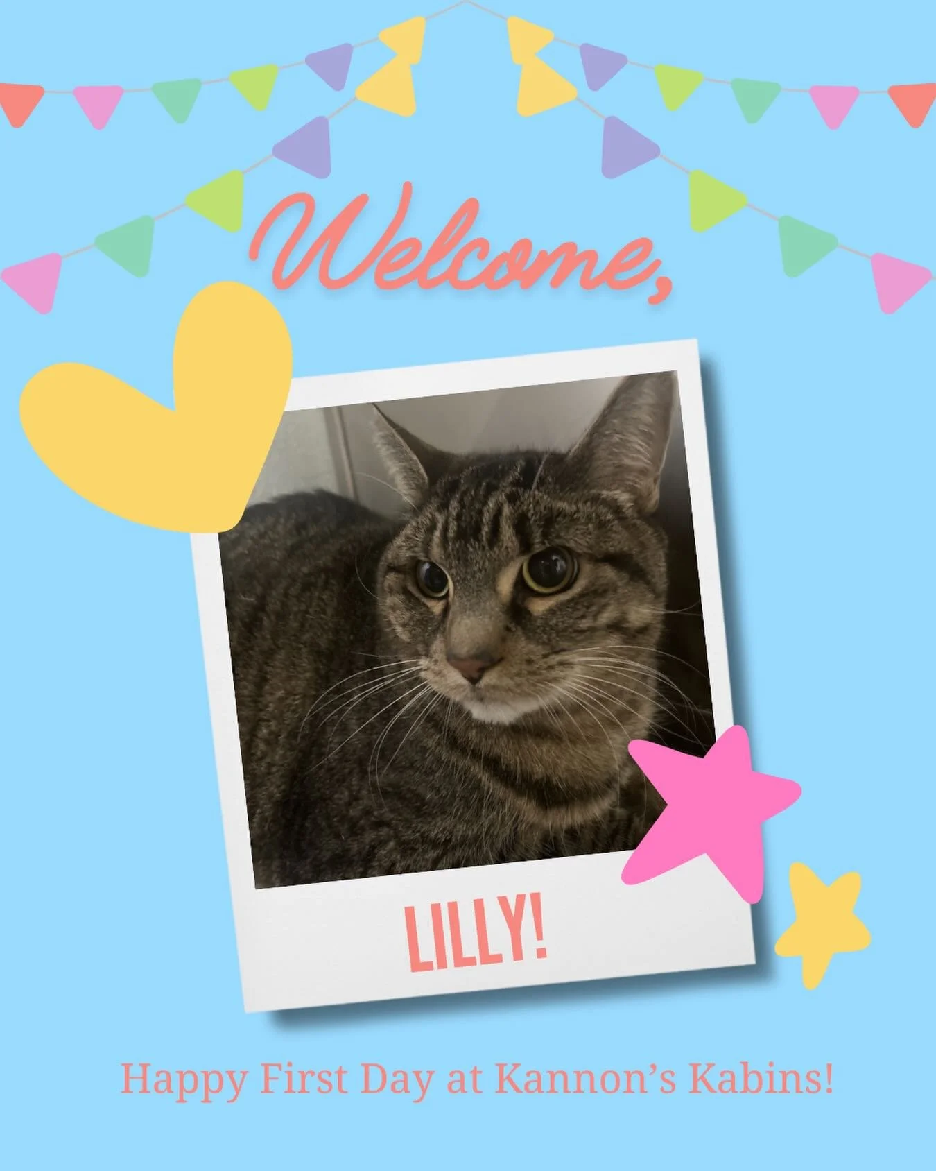 Happy First Day at Kannon&rsquo;s Kabins, Lilly!