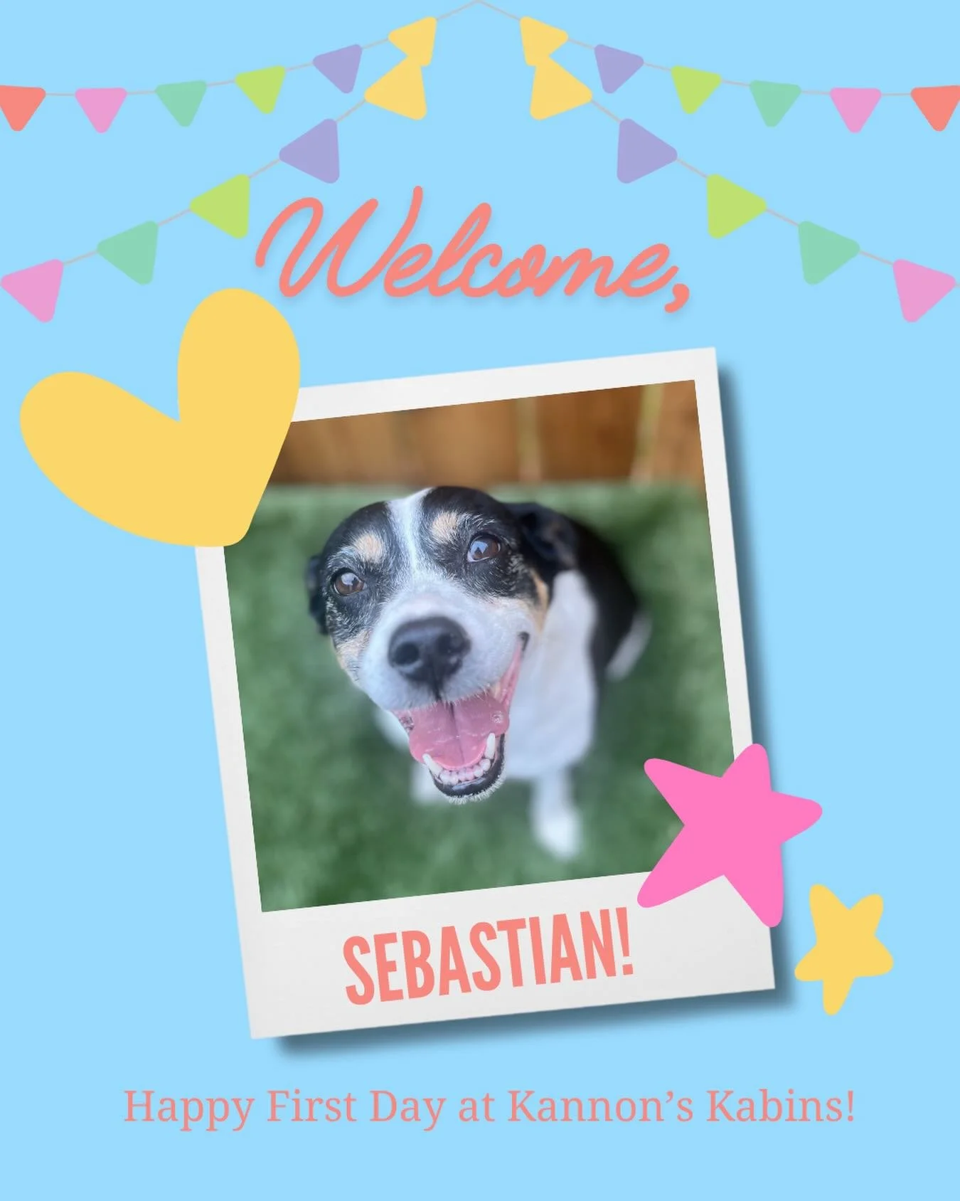 Happy First Day at Kannon&rsquo;s Kabins, Sebastian!