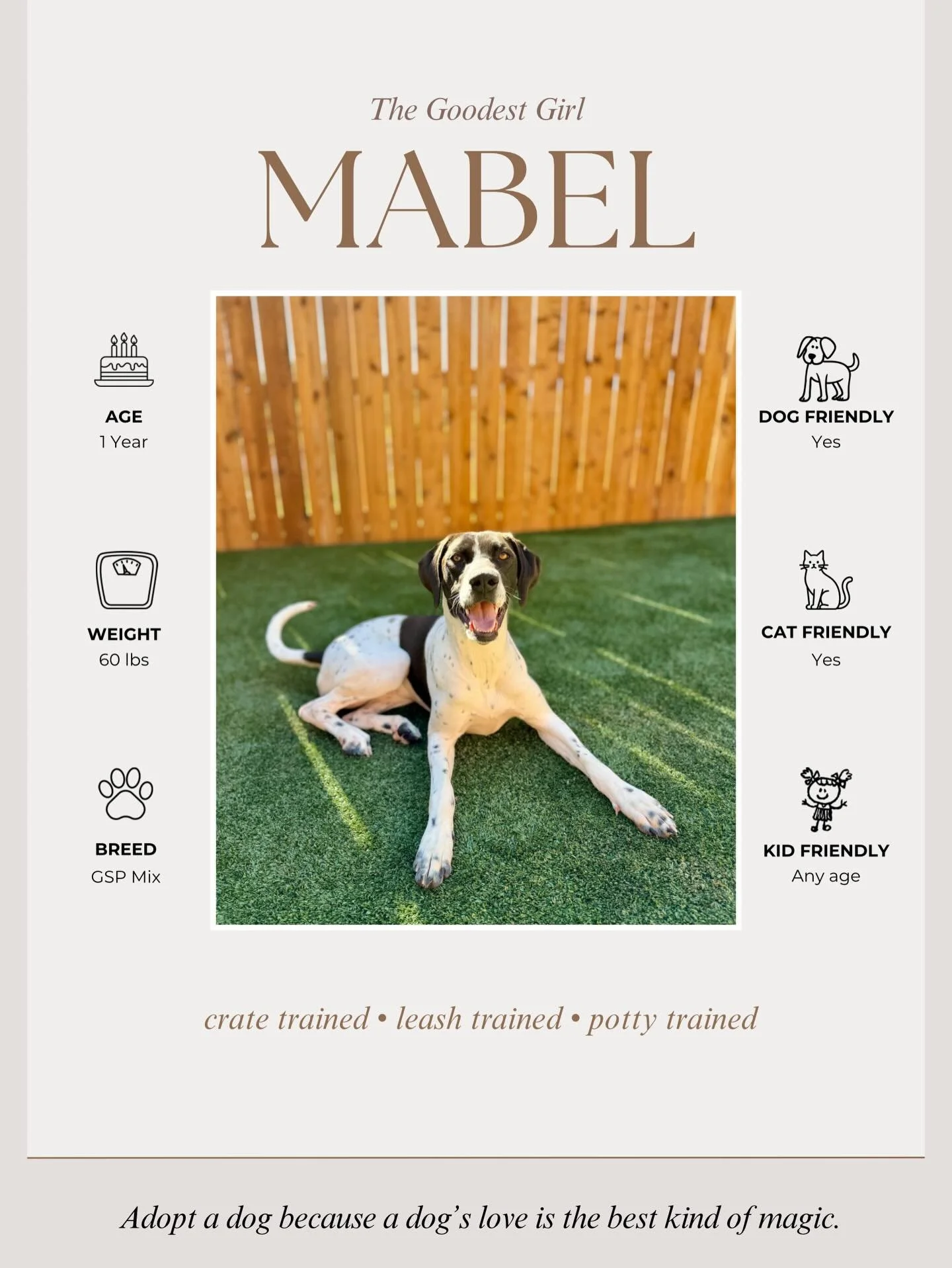 ✨KK ADOPTABLES✨

If you&rsquo;ve noticed one missing, it&rsquo;s because we have a special announcement tomorrow! 🥳

If you are interested in fostering or adopting any of the posted dogs, please reach out by calling or texting us at 405-655-4425. 💗