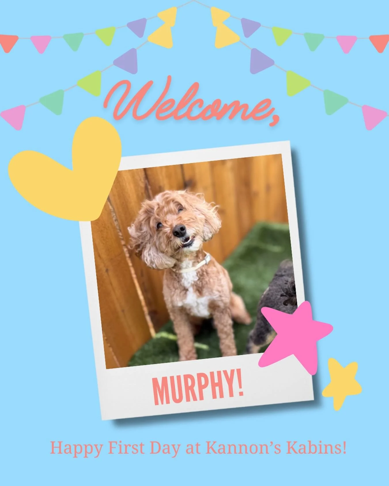 Happy First Day at Kannon&rsquo;s Kabins, Murphy!