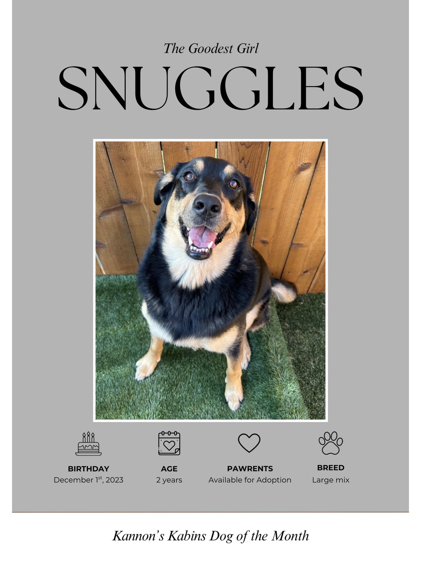 ✨ Meet our Dog of the Month: Snuggles (&ldquo;Snugs&rdquo;) ✨

One of the sweetest girls you&rsquo;ll ever meet! As a foster here, she has completely stolen our hearts with her gentle nature and loving personality. True to her name, Snuggles absolute