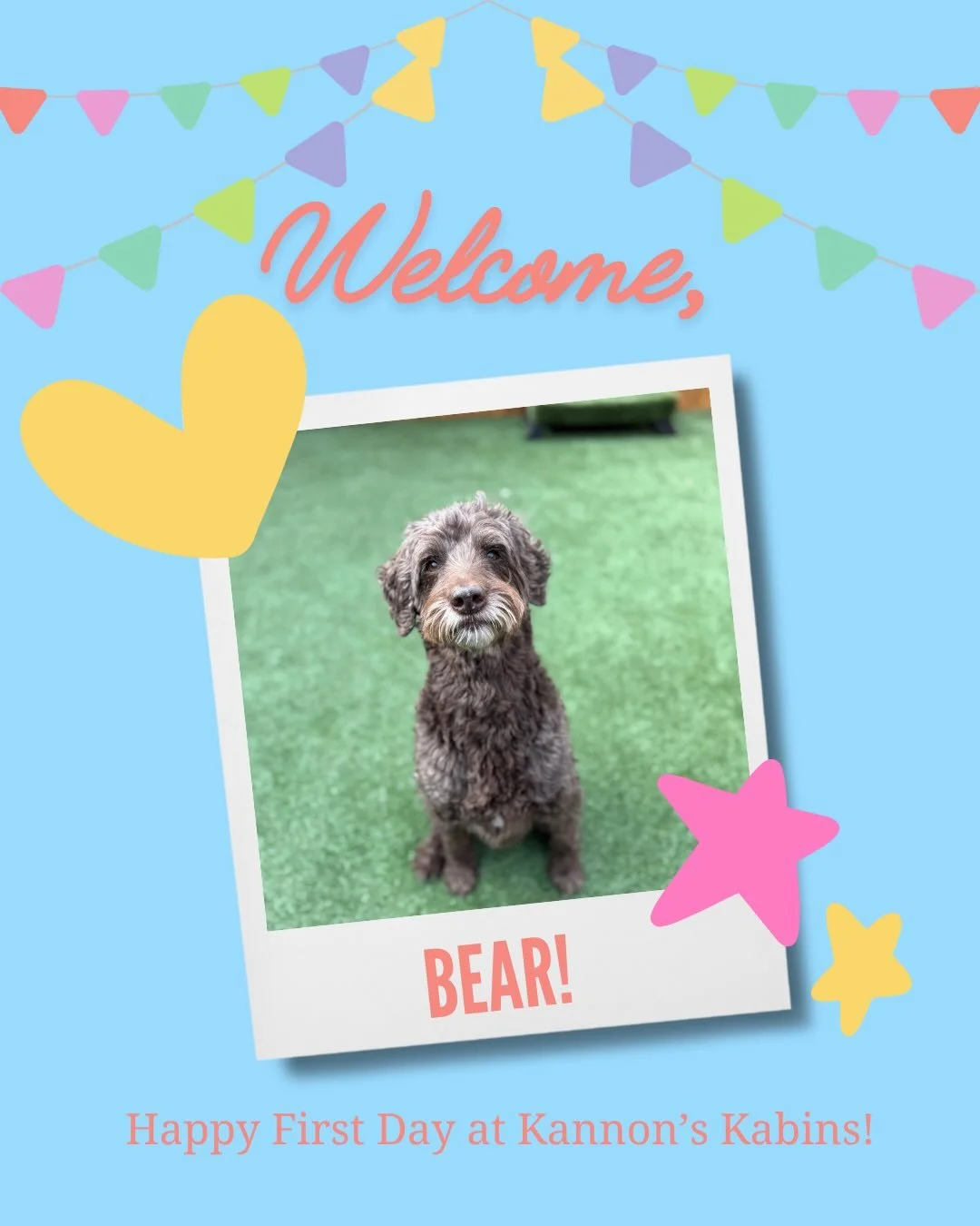 Happy first day at Kannon&rsquo;s Kabins, Beau and Bear!