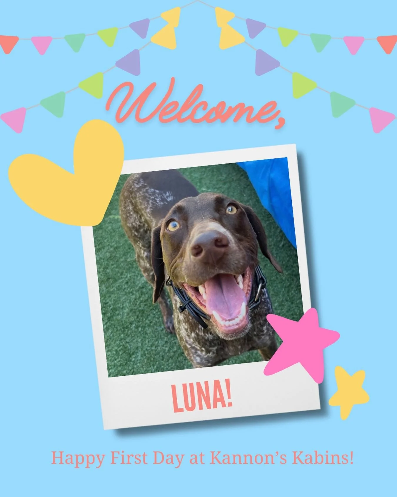 Happy First Day at Kannon&rsquo;s Kabins, Luna!