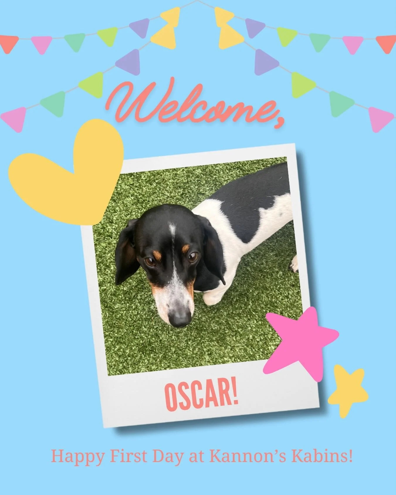 Happy first day at Kannon&rsquo;s Kabins, Oscar!