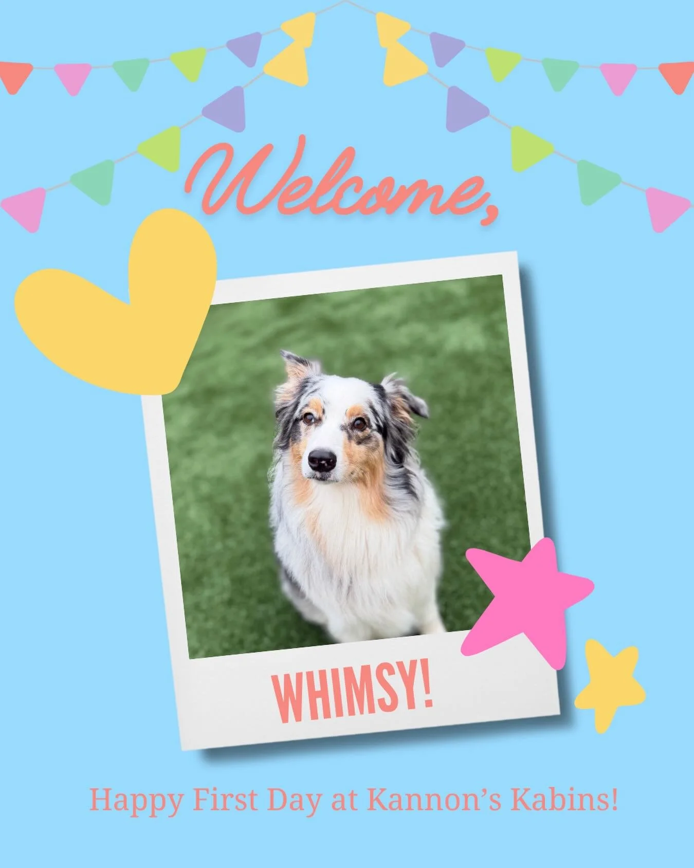 Happy first day at Kannon&rsquo;s Kabins, Whimsy!