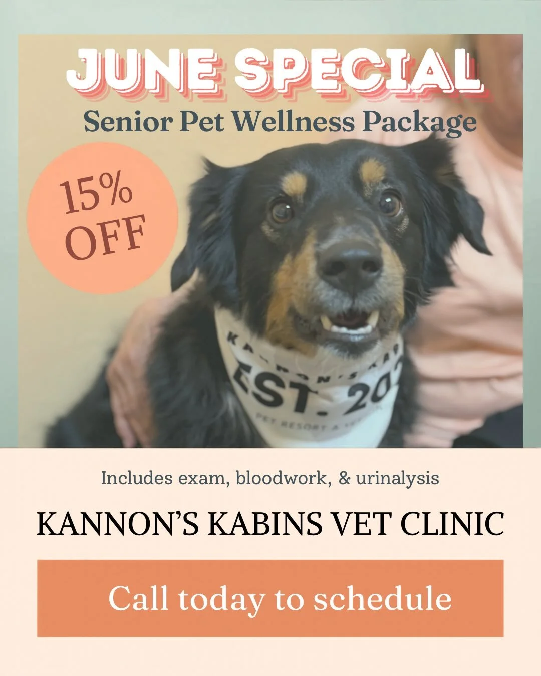 ☀️ June is packed with savings for your furry family members!

🐾 15% OFF Senior Pet Wellness Packages
🐾 FREE Small Dog Evaluations (under 25 lbs)

Don&rsquo;t miss out&mdash;schedule today! ❤️

#KannonsKabins #PetCare #DogBoarding #SeniorDogs #PetH