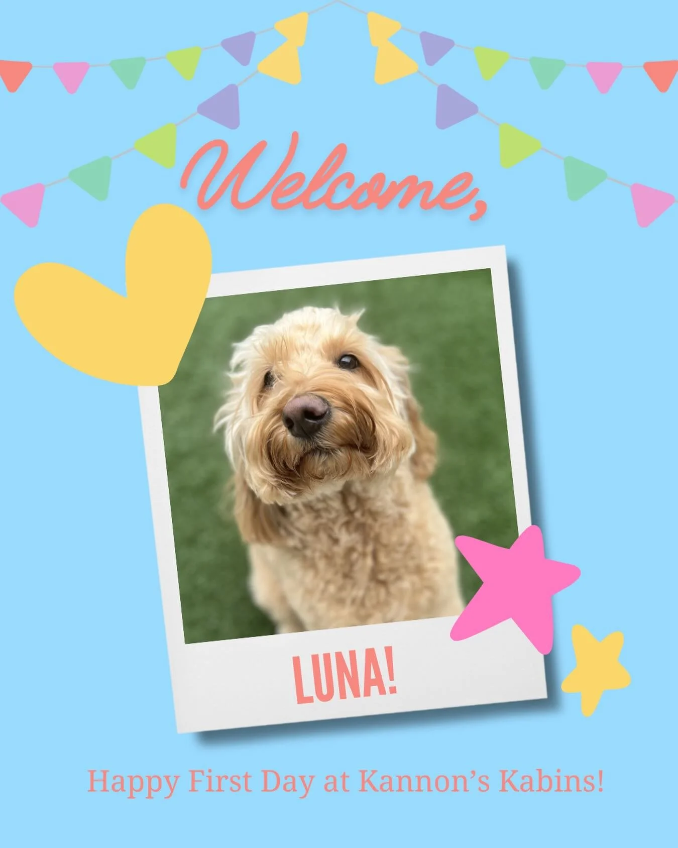 Happy First Day at Kannon&rsquo;s Kabins, Luna!