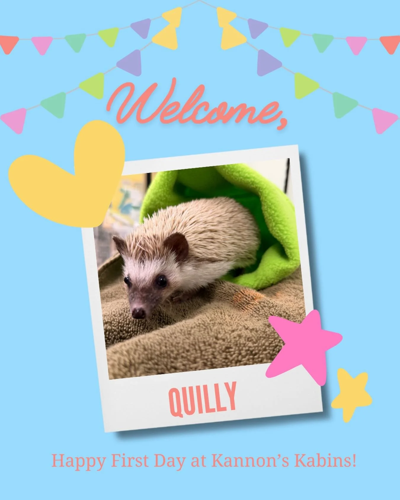 Happy first day at Kannon&rsquo;s Kabins Quilly!!