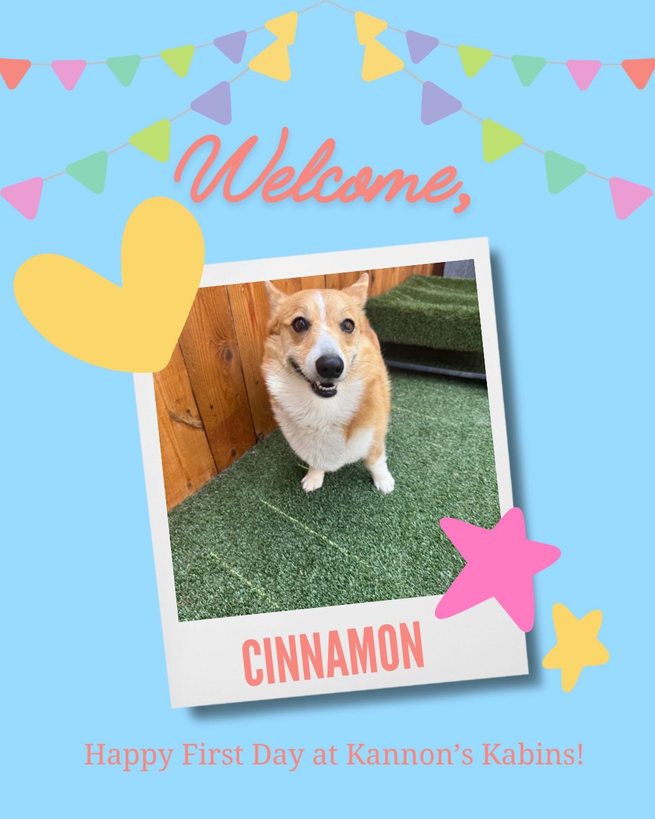Happy First Day at Kannon&rsquo;s Kabins Cinnamon !!