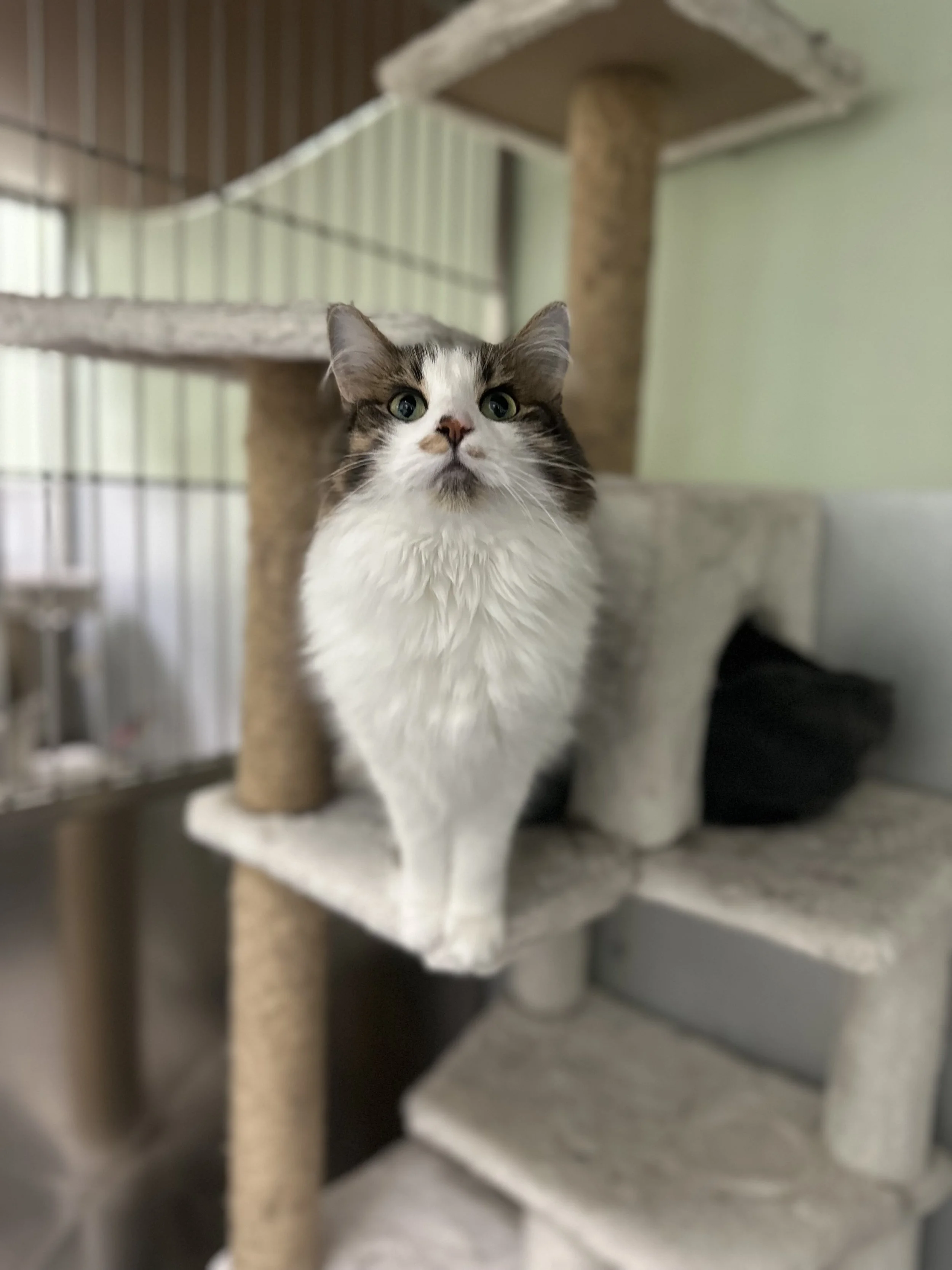 IMG_0610.jpeg