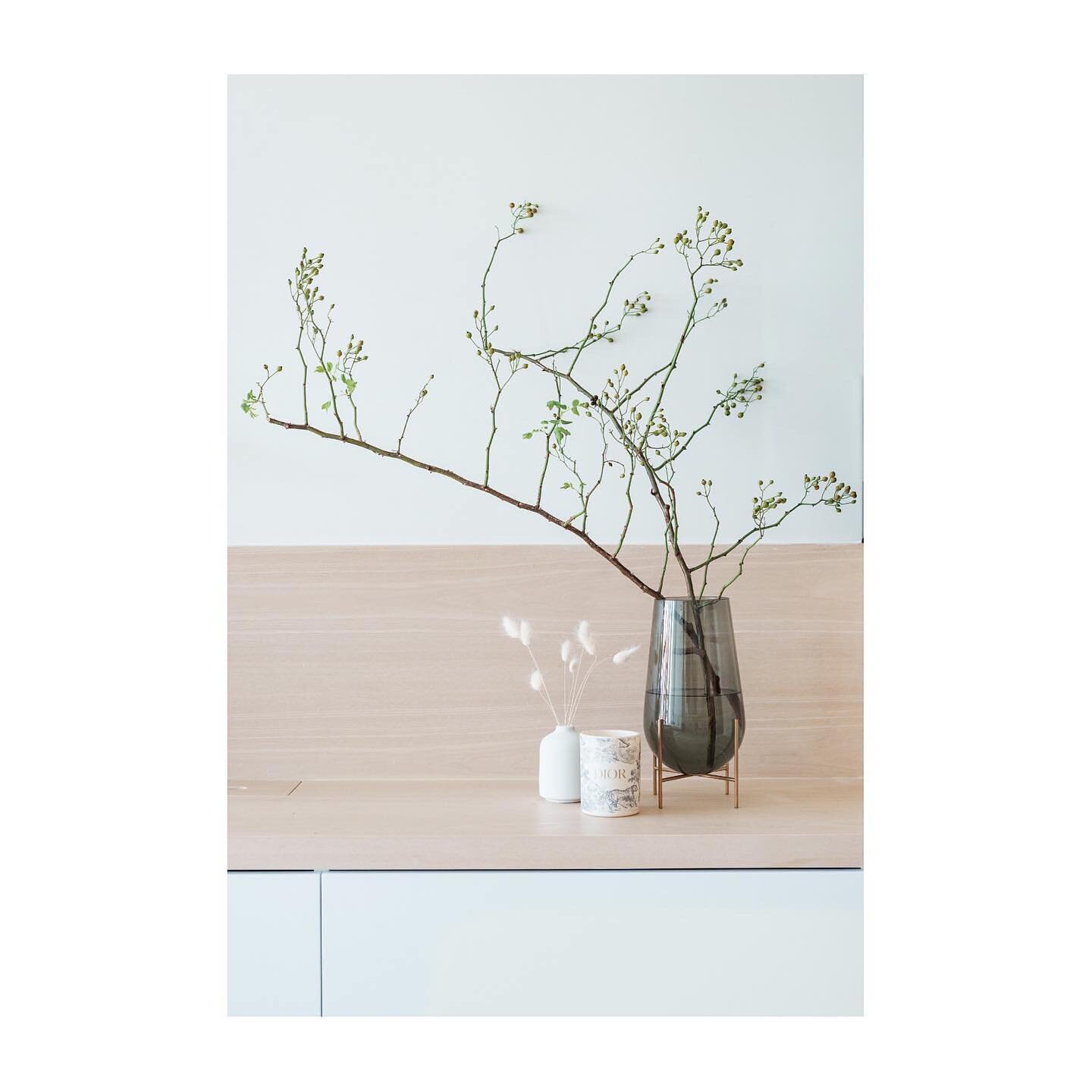 Sai Kung apartment - Plant and flower - natural elements in interior 

Photography
@grasstso @123cheese_production 

#design #interiordesigner #residentialdesign #residential #naturallight #hongkonginteriordesigner #interior #atmosphere #sunlight #ap