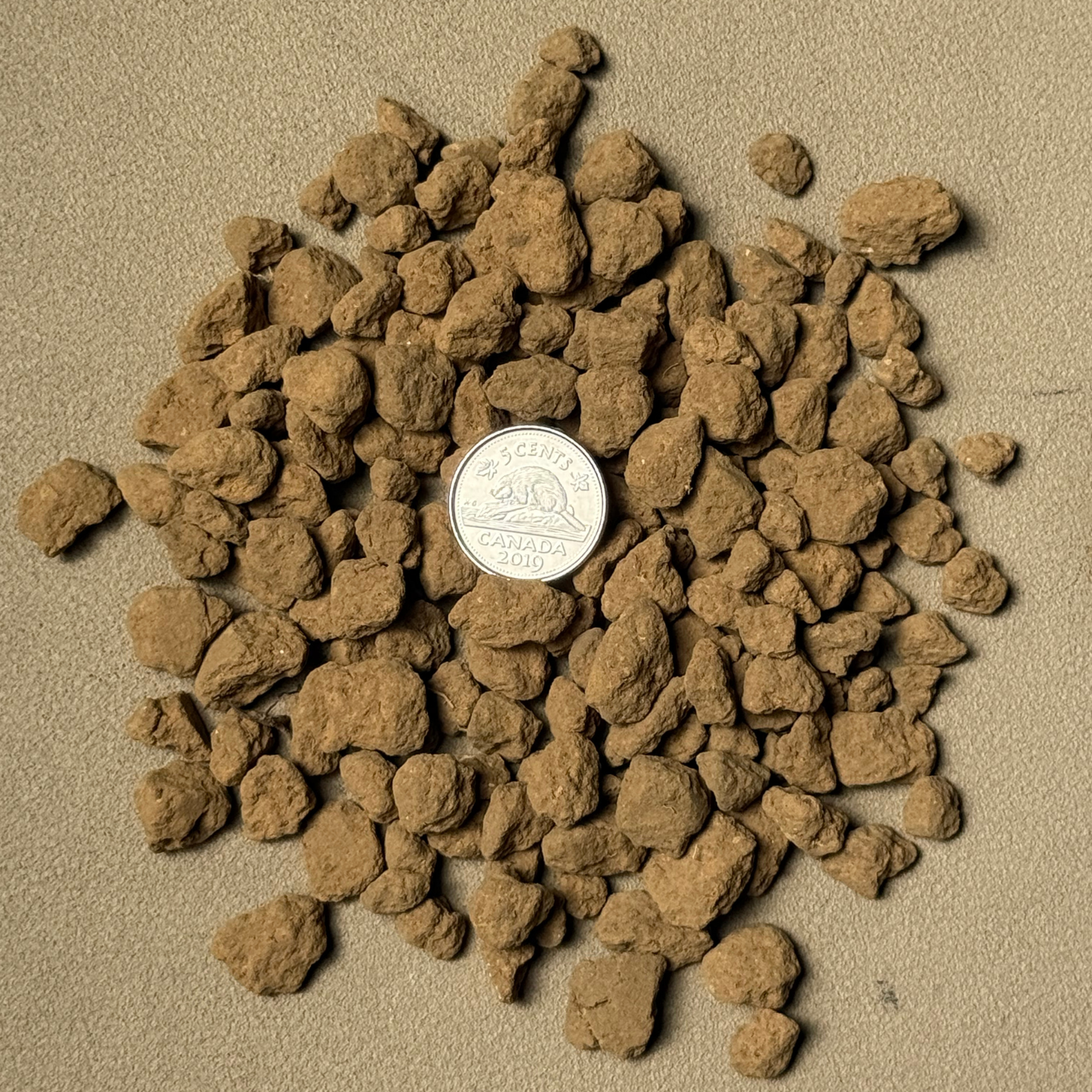 Akadama Coarse.png