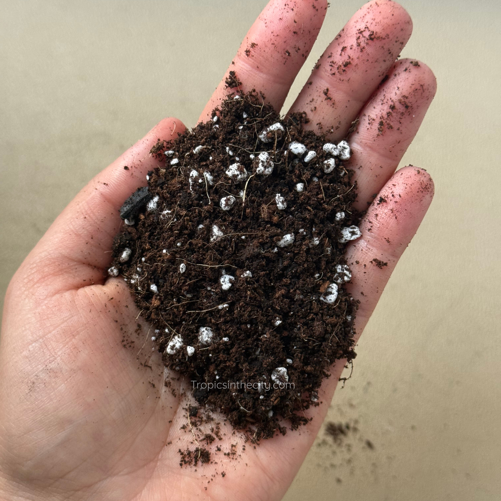 Prop mix in hand.png