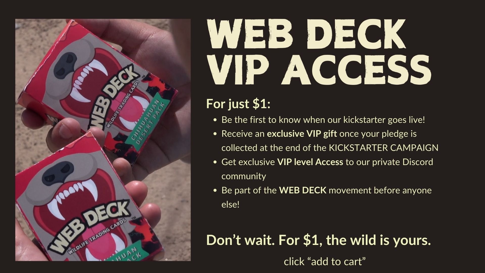 WEB DECK VIP ACCESS Graphic (1).jpg
