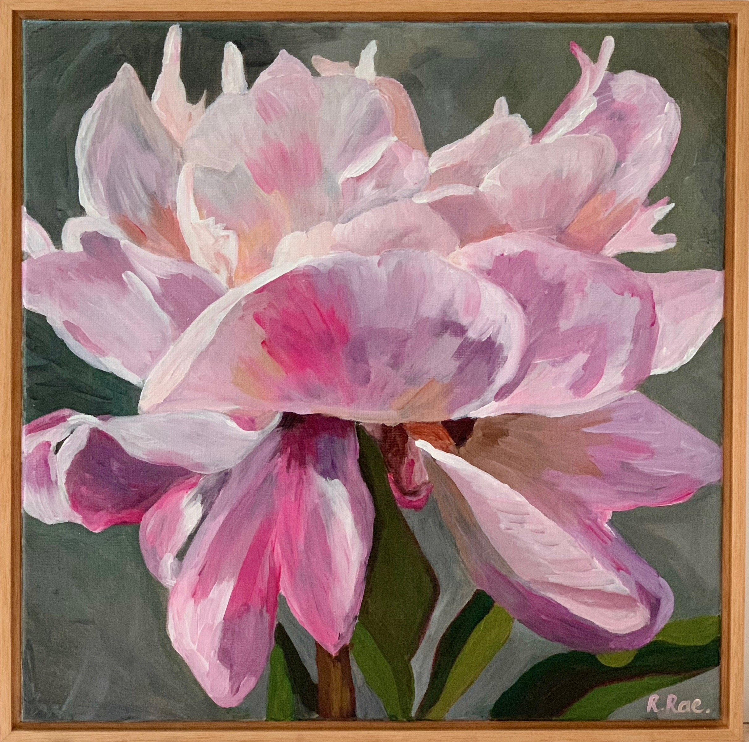 Pink Peony front