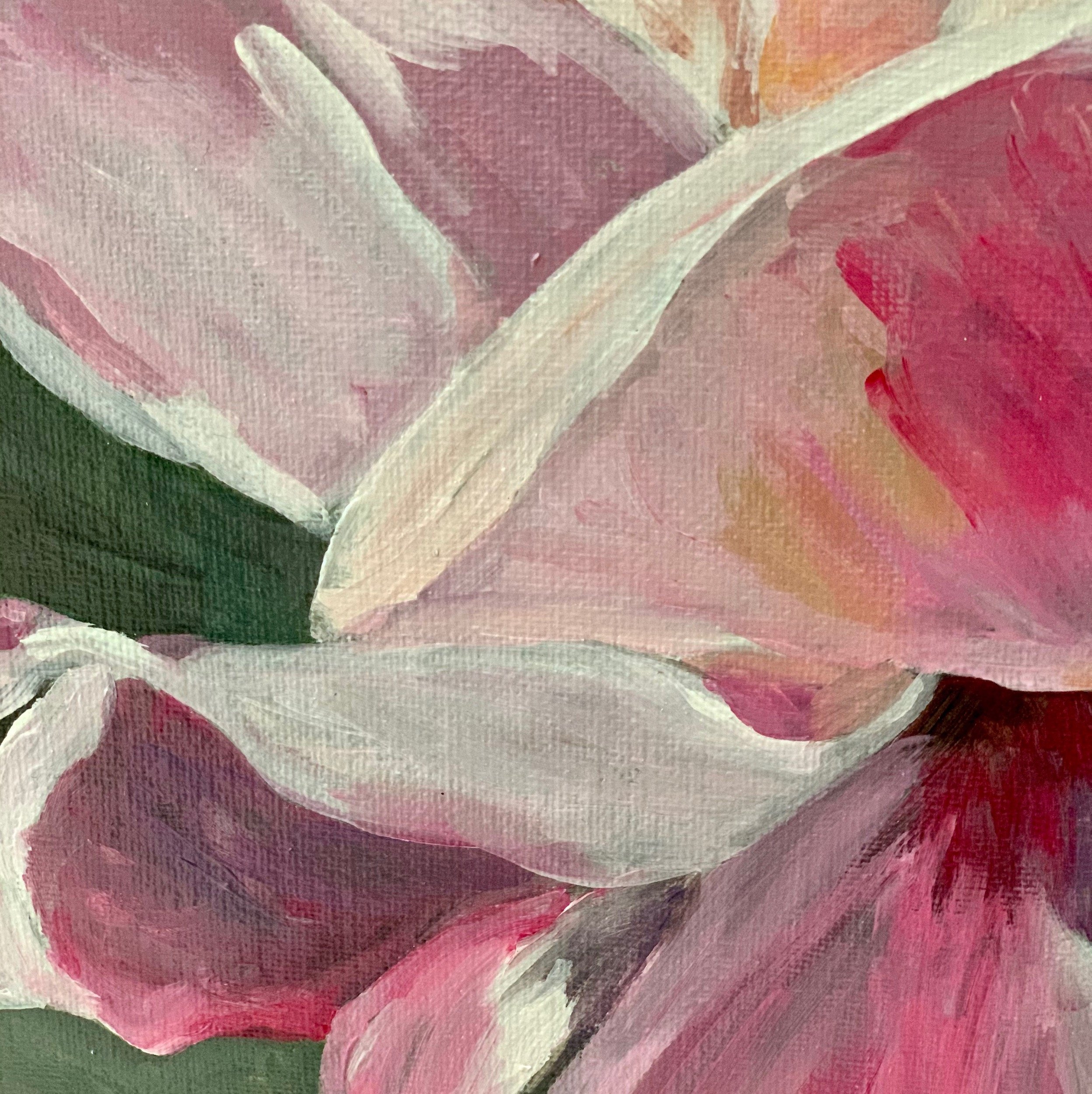 Pink Peony Closeup