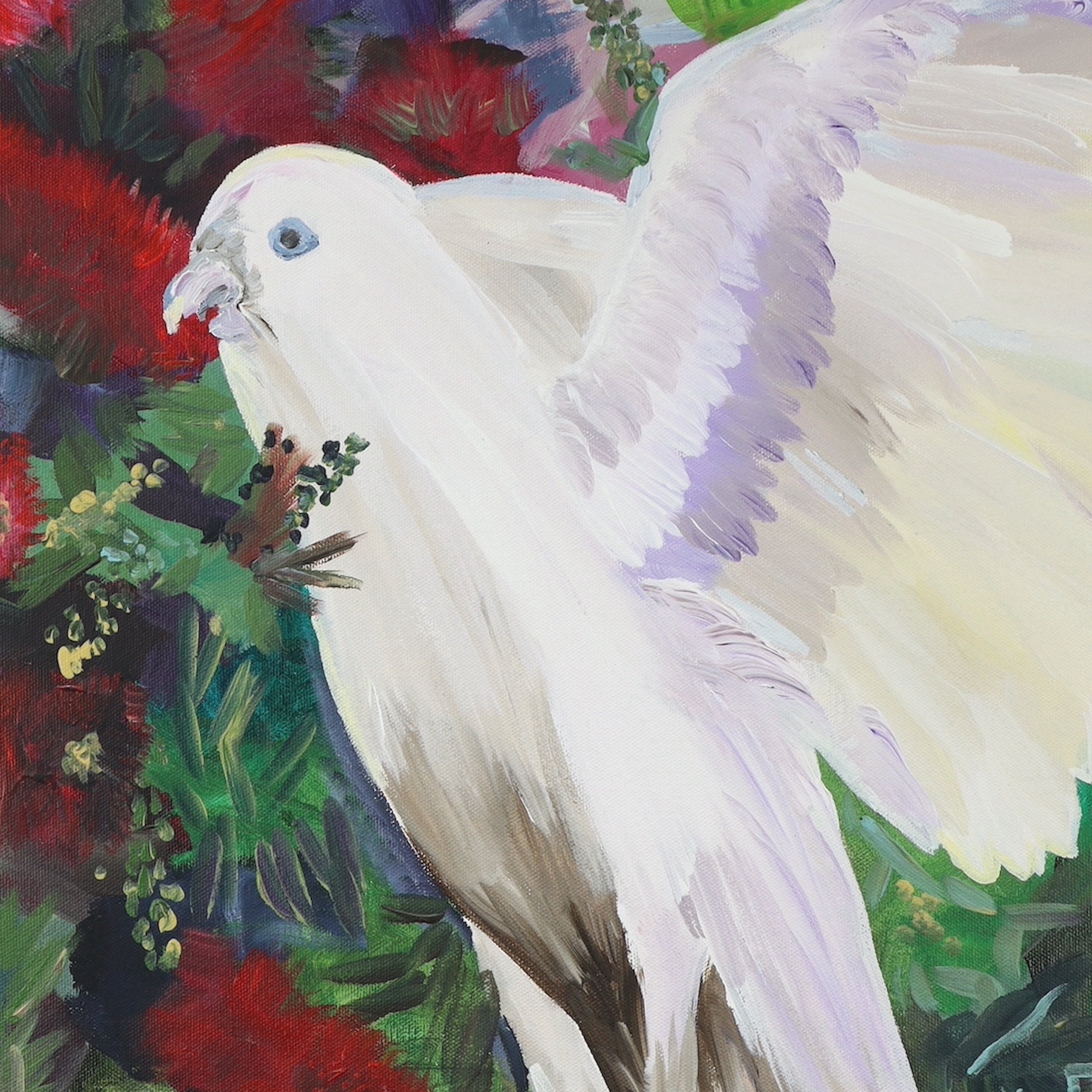 White Corellas in the Red Bottle Brush Closeup Original Artwork by Rachel Rae Art